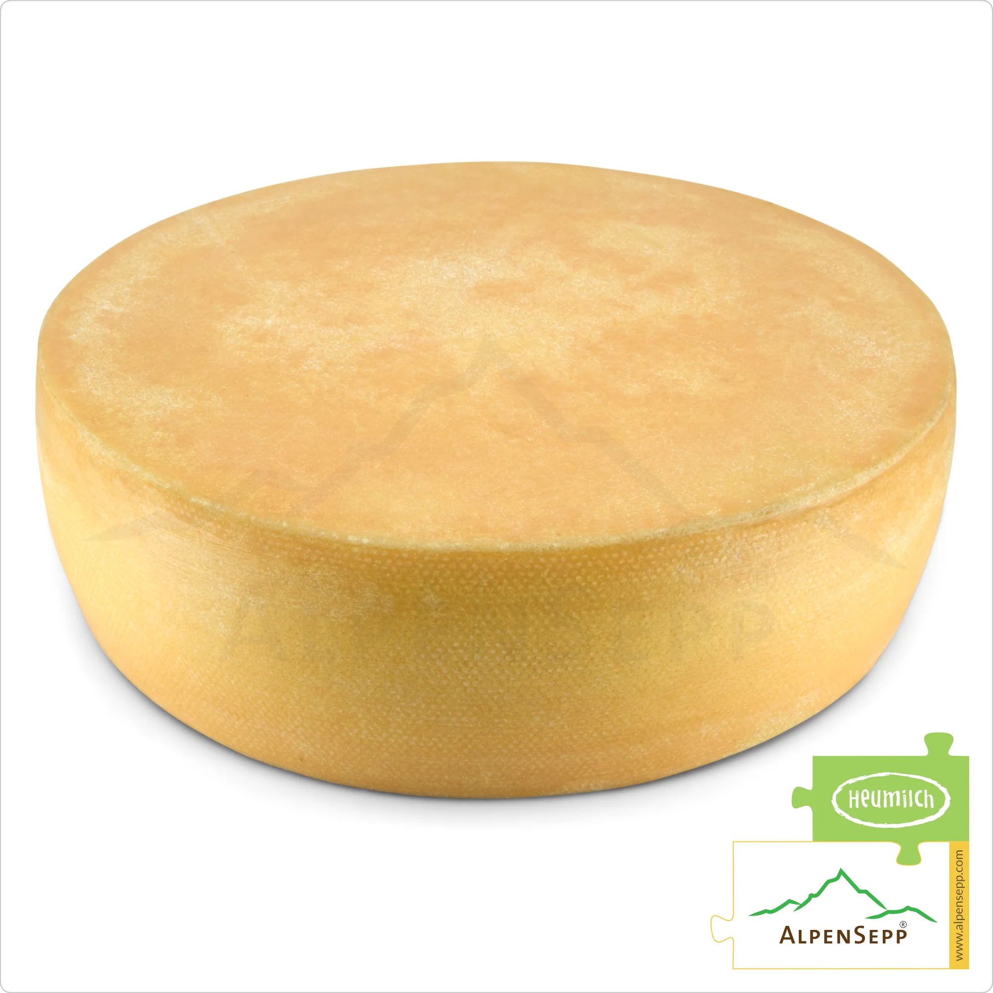 SENN ALMKÄSE würzig Käselaib | Laktosefreier Heumilch Käse | 8,1 kg Käserad