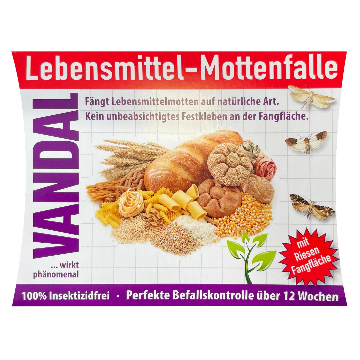 Vandal Lebensmittel-Mottenfalle