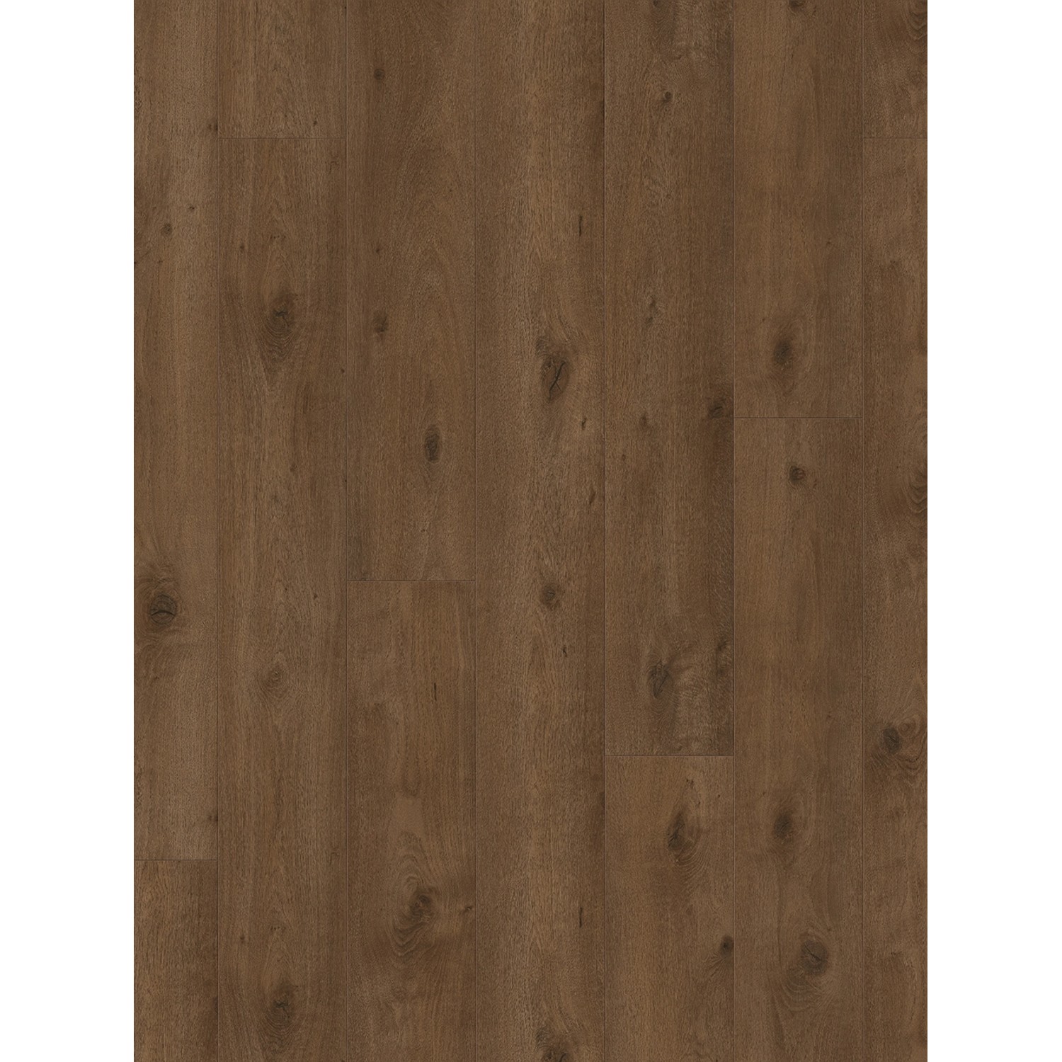 Parador Trendtime 6 Laminat 9 mm Wasserfest Eiche Everglade Grau