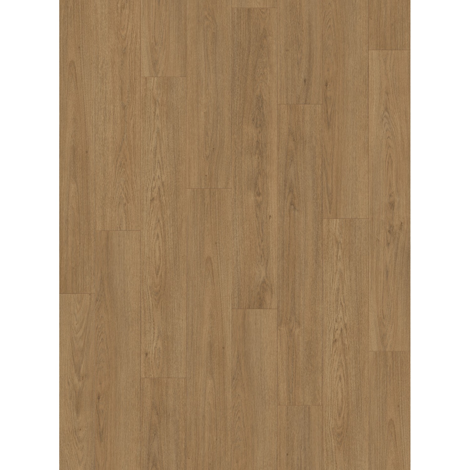 Parador Classic 1050 Laminat 8 mm Wasserfest Eiche Mont Blanc Braun