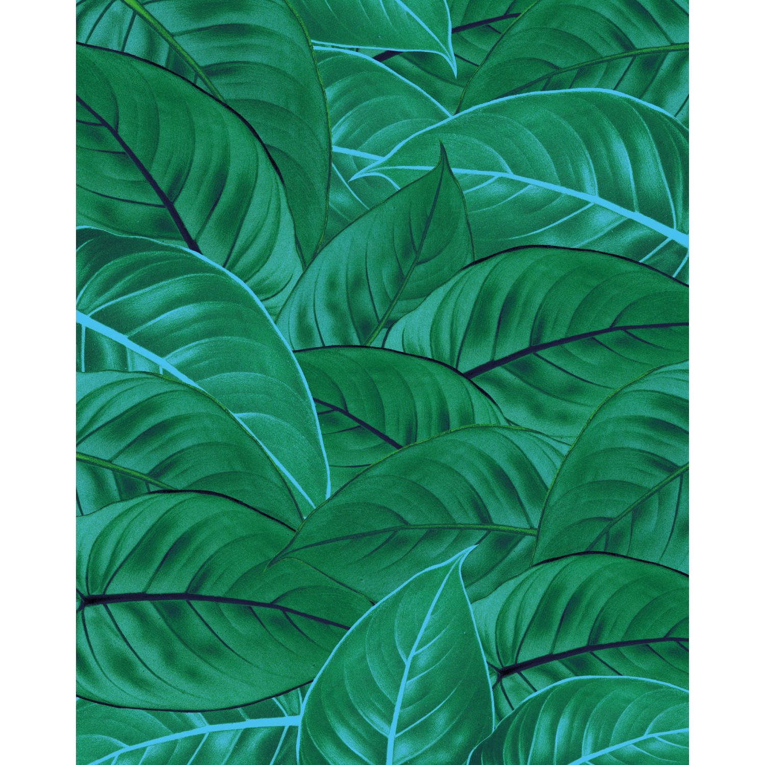 Komar Fototapete Vlies Jungle Leaves 200 x 250 cm