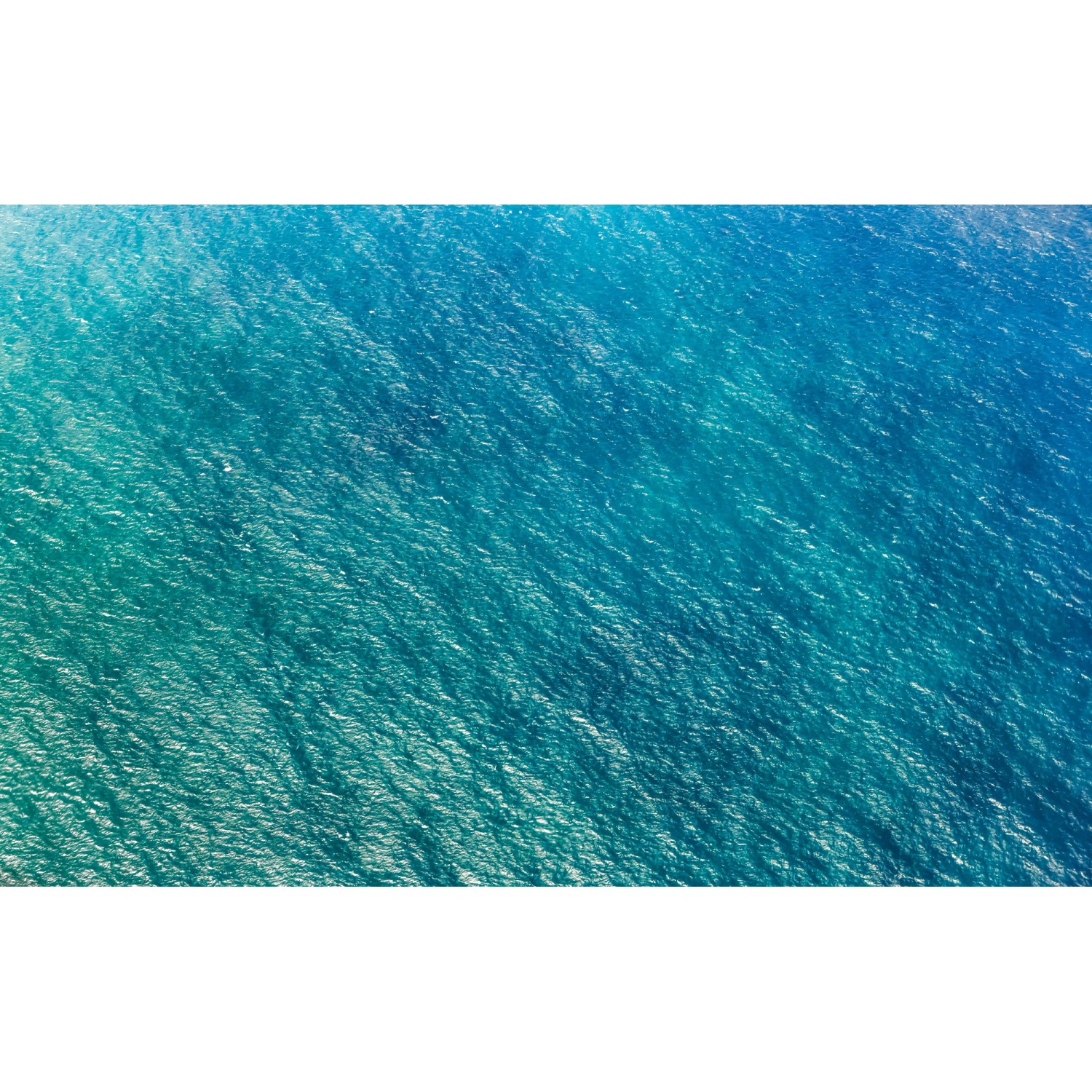 Komar Fototapete Vlies Blaupause 400 x 250 cm