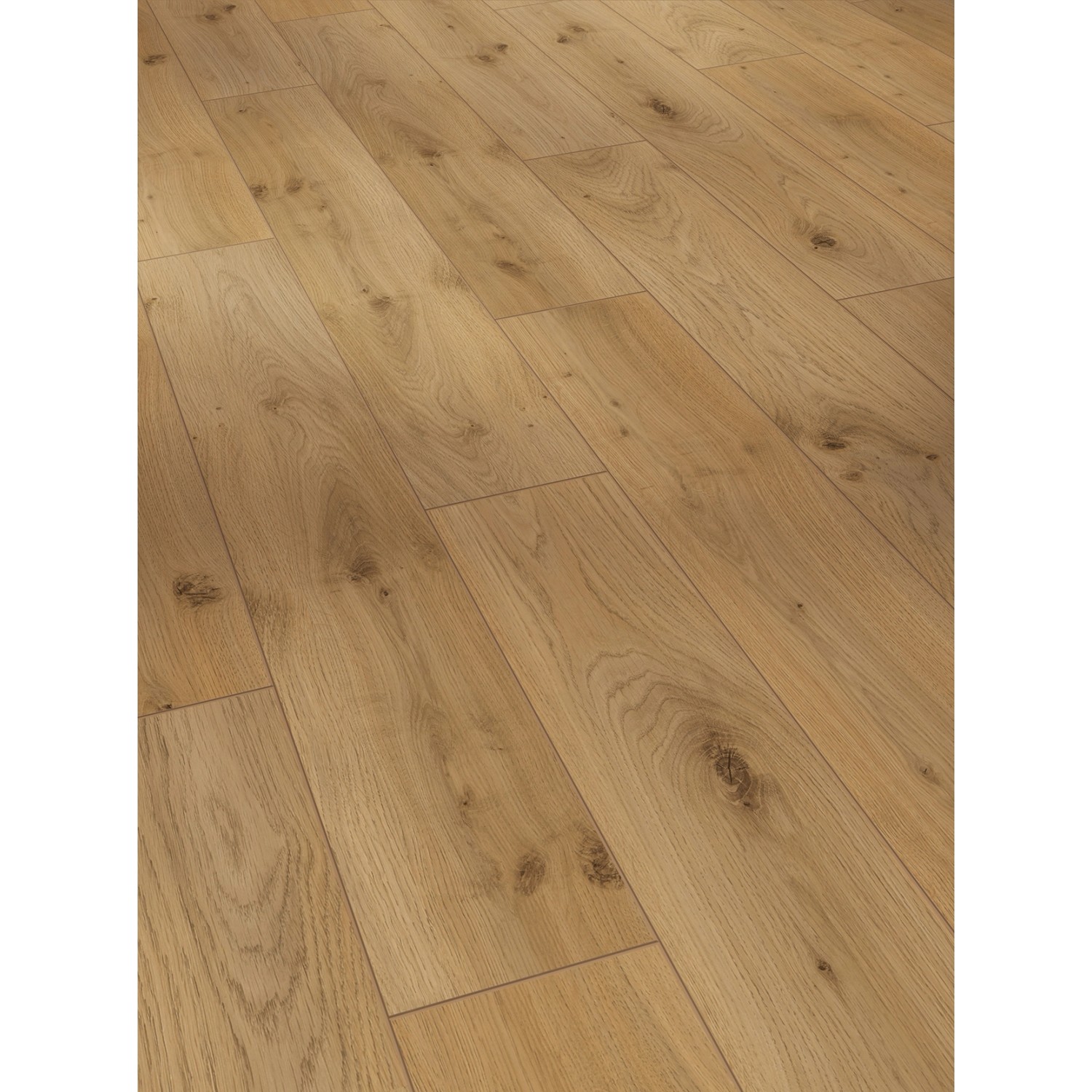 Parador Classic 1050 Laminat 8 mm Wasserfest Eiche Tradition Natur
