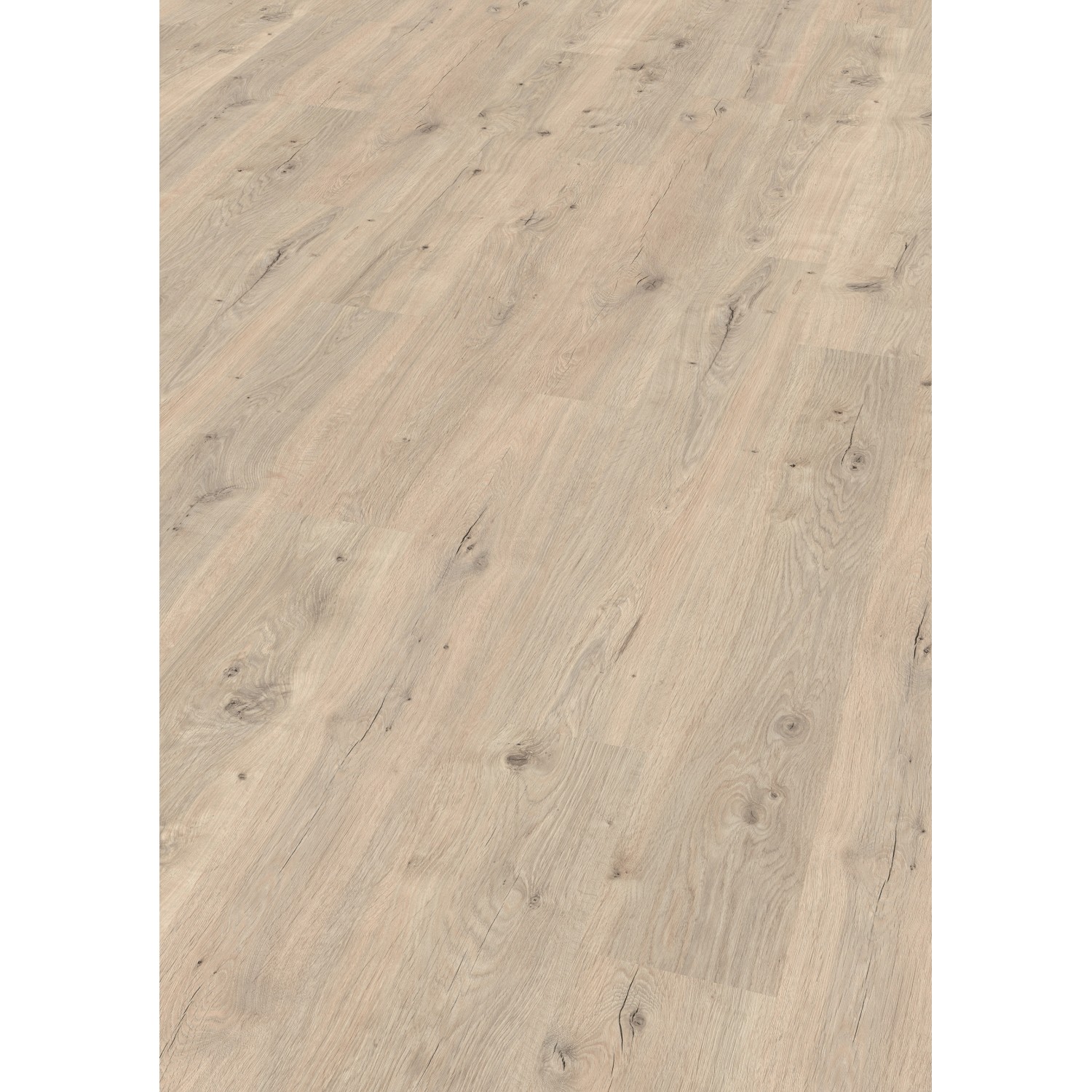 Egger Classic Laminat 8 mm Eiche Repino