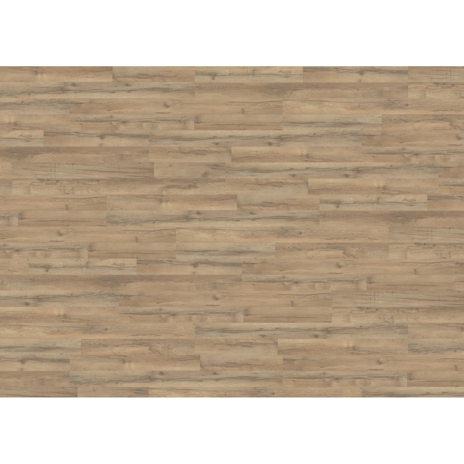 Living by Haro Laminat 7 mm Eiche Calabria