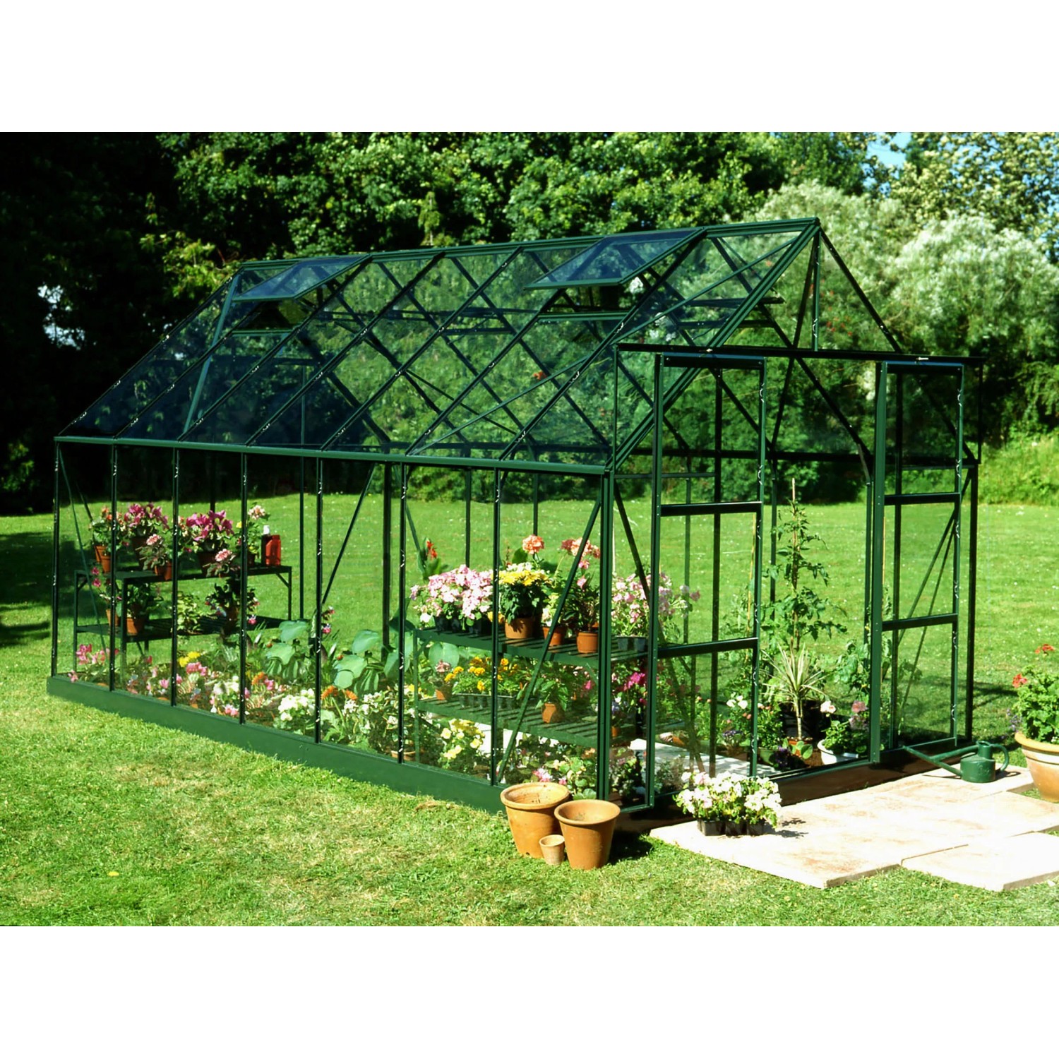 Halls Gewächshaus Magnum 148 Magnum Grün 11,5 m² inkl. Fundamentrahmen
