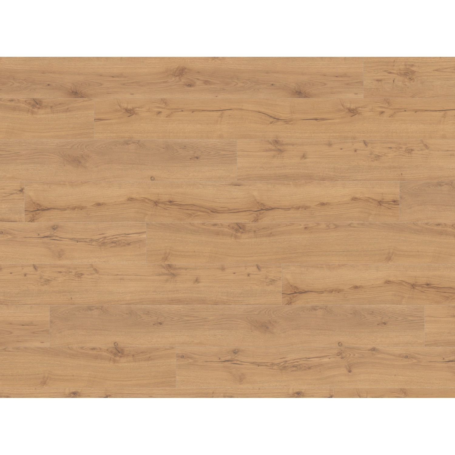 Living by Haro XL Laminat 8 mm Alpine Natur