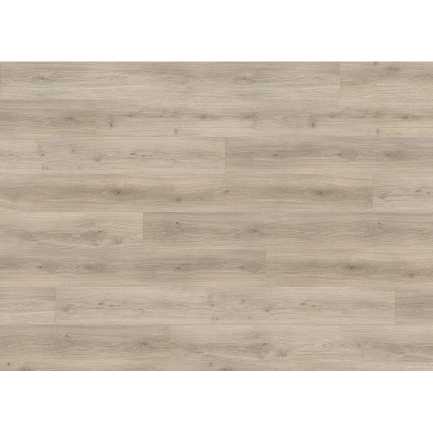 Living by Haro XL Laminat 8 mm Eiche Laval Grau