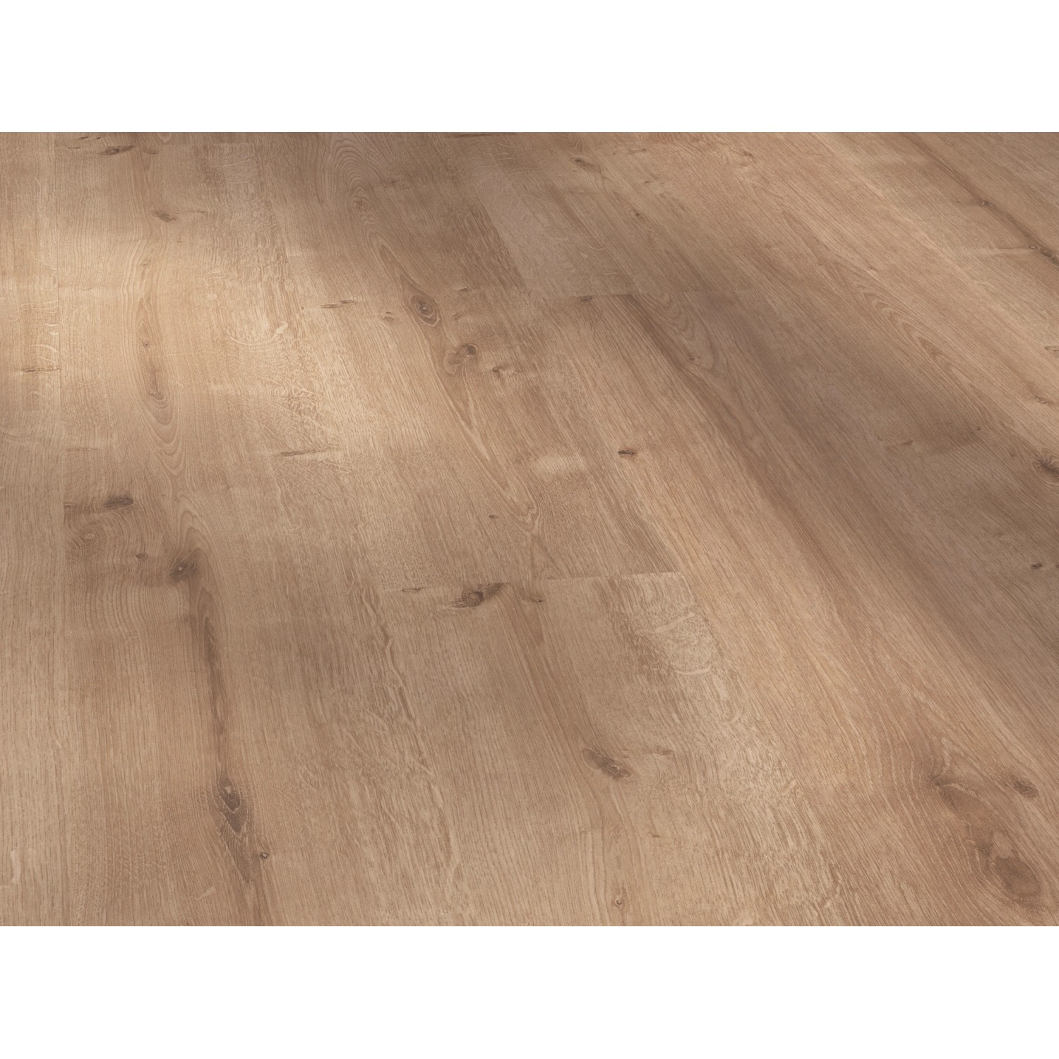 Parador Basic 400 Laminat 8 mm Wasserfest Eiche Geschliffen