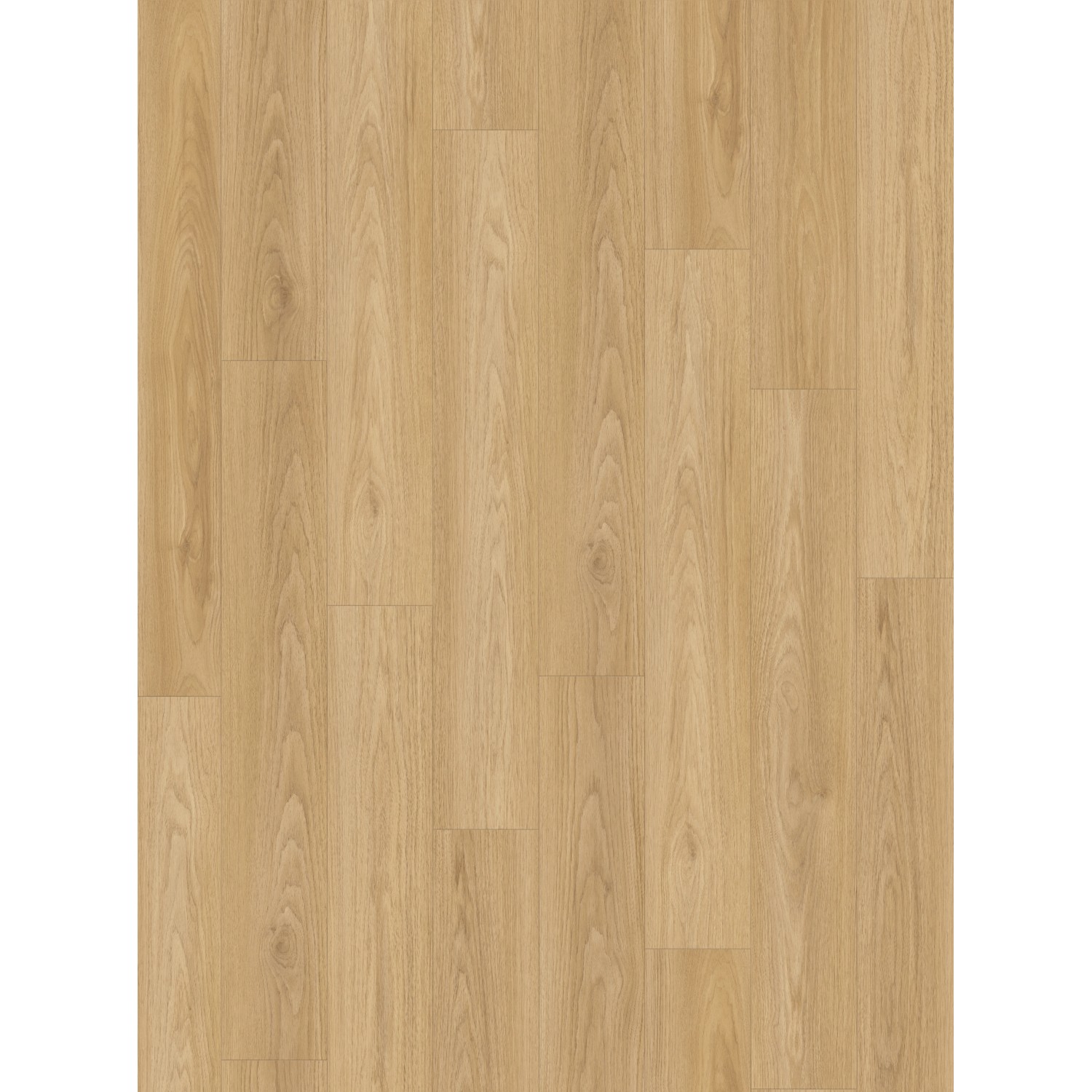 Parador Basic 400 Laminat 8 mm Wasserfest Hickory