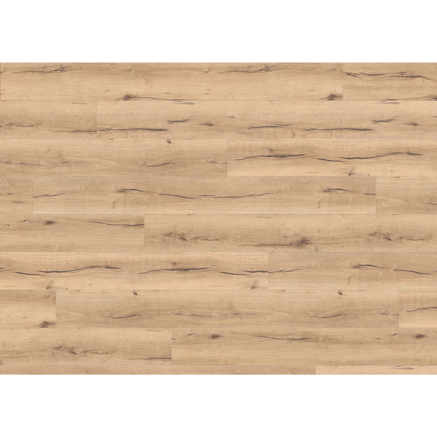 Living by Haro XL Laminat 8 mm Eiche Italica Creme