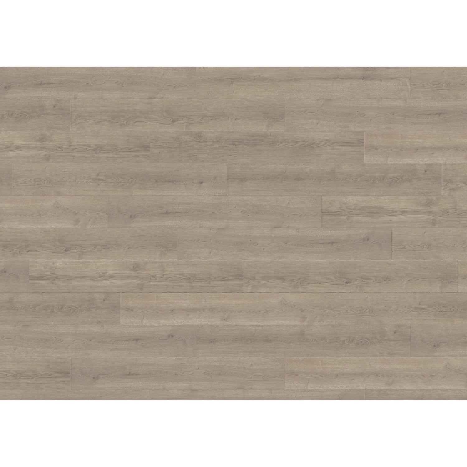 Living by Haro Laminat 7 mm Eiche Langley Grau