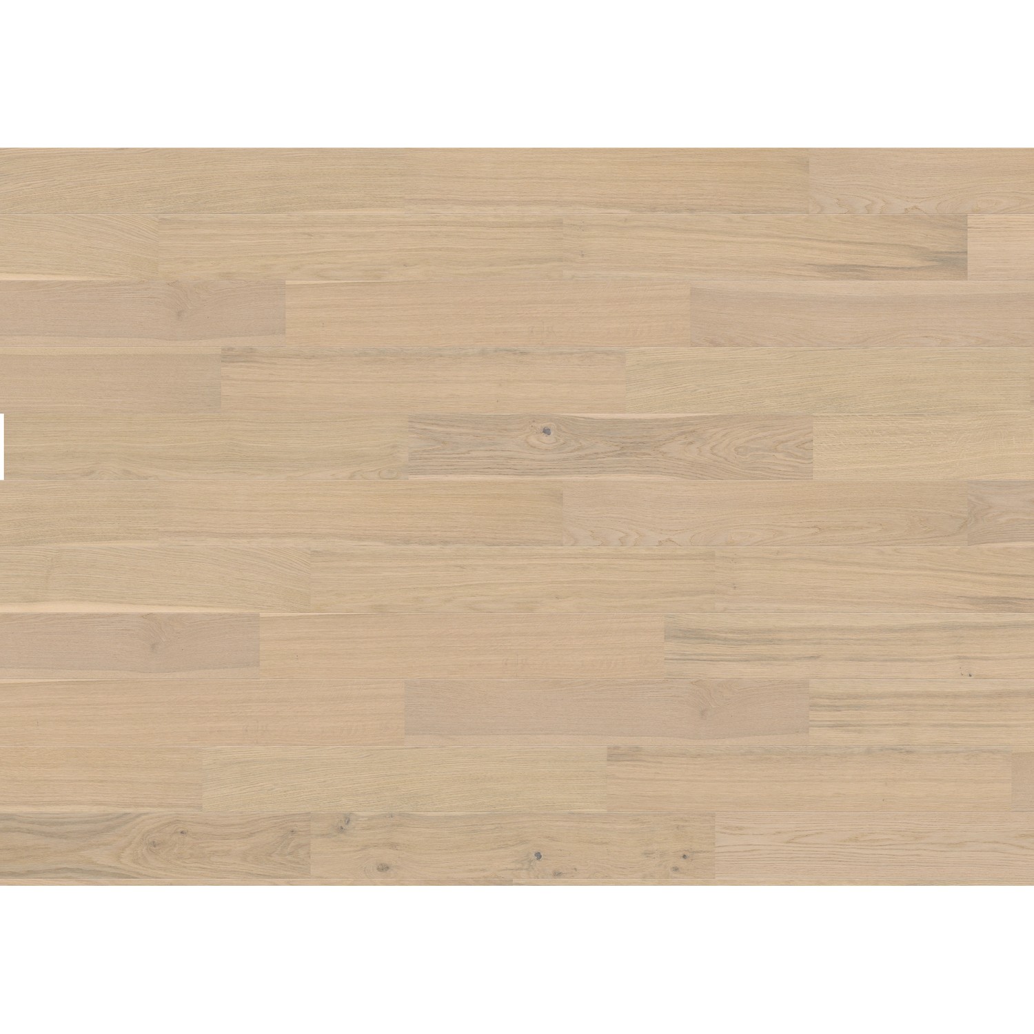 Living by HARO Parkett Landhausdiele 2V Eiche Weiß Strukturiert Naturöl