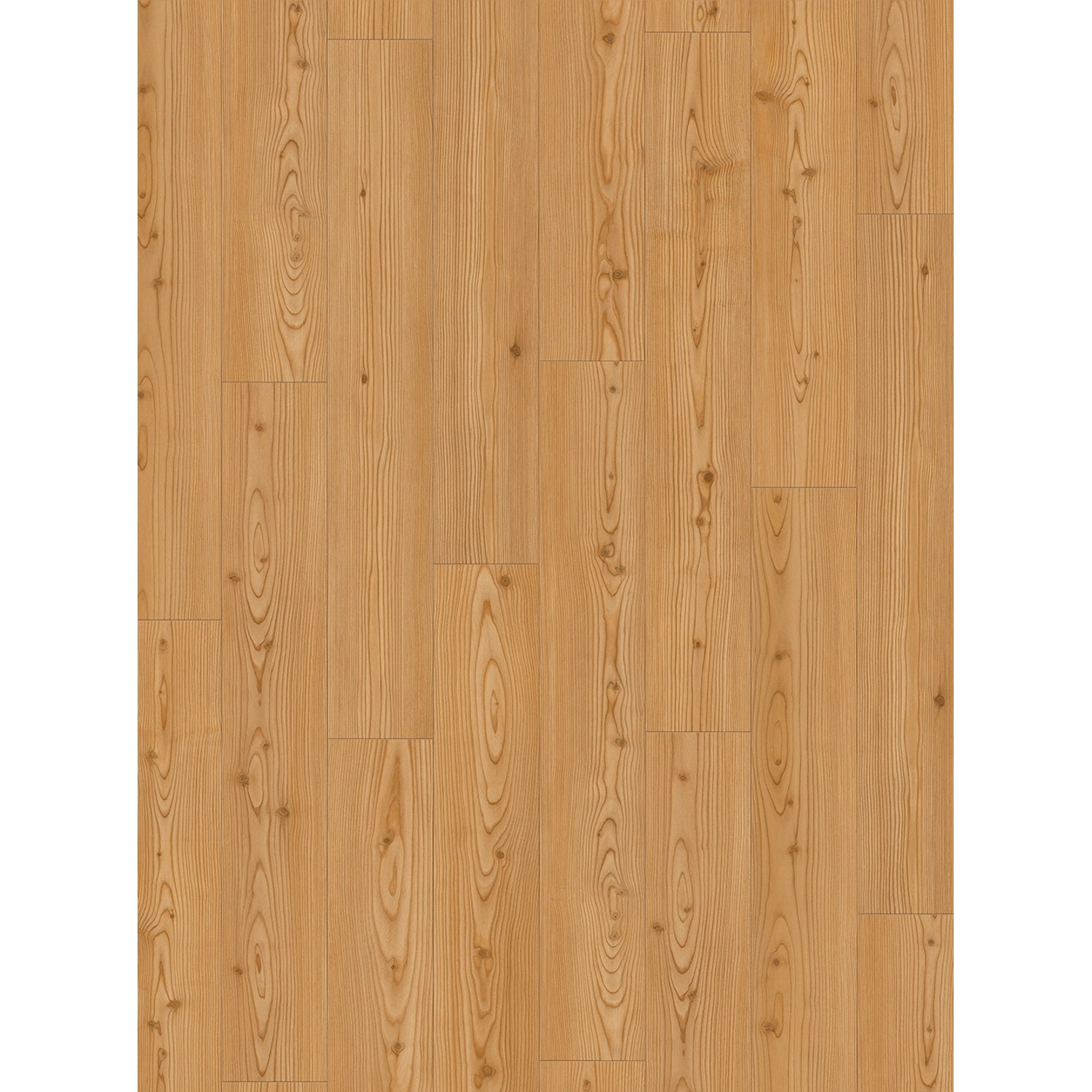 Parador Classic 1050 Laminat 8 mm Wasserfest Lärche Yukon Honig