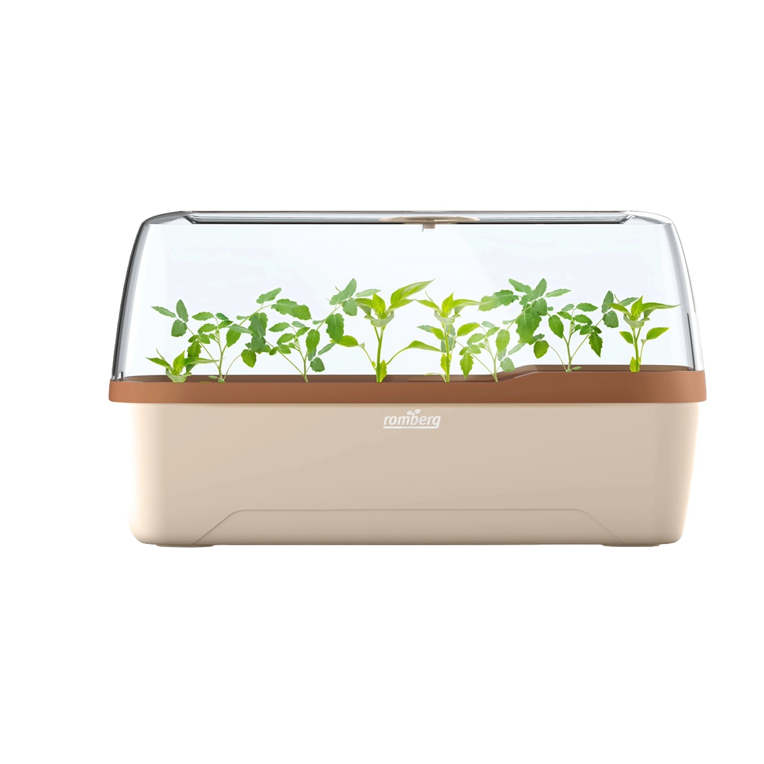 Romberg Gewächshaus Boqube L Plus Creme/Kupferbraun