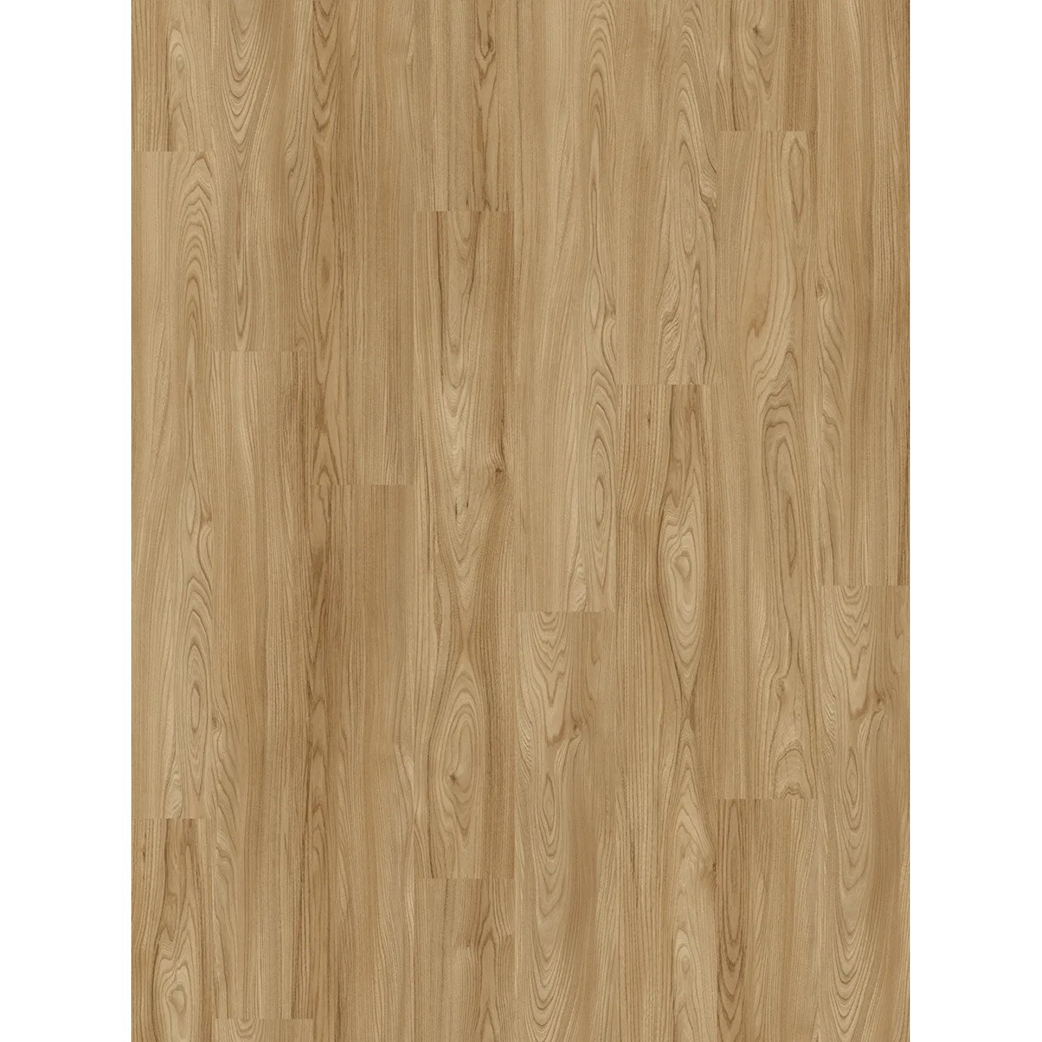 Parador Basic 400 Laminat 8 mm Wasserfest Natural Touch