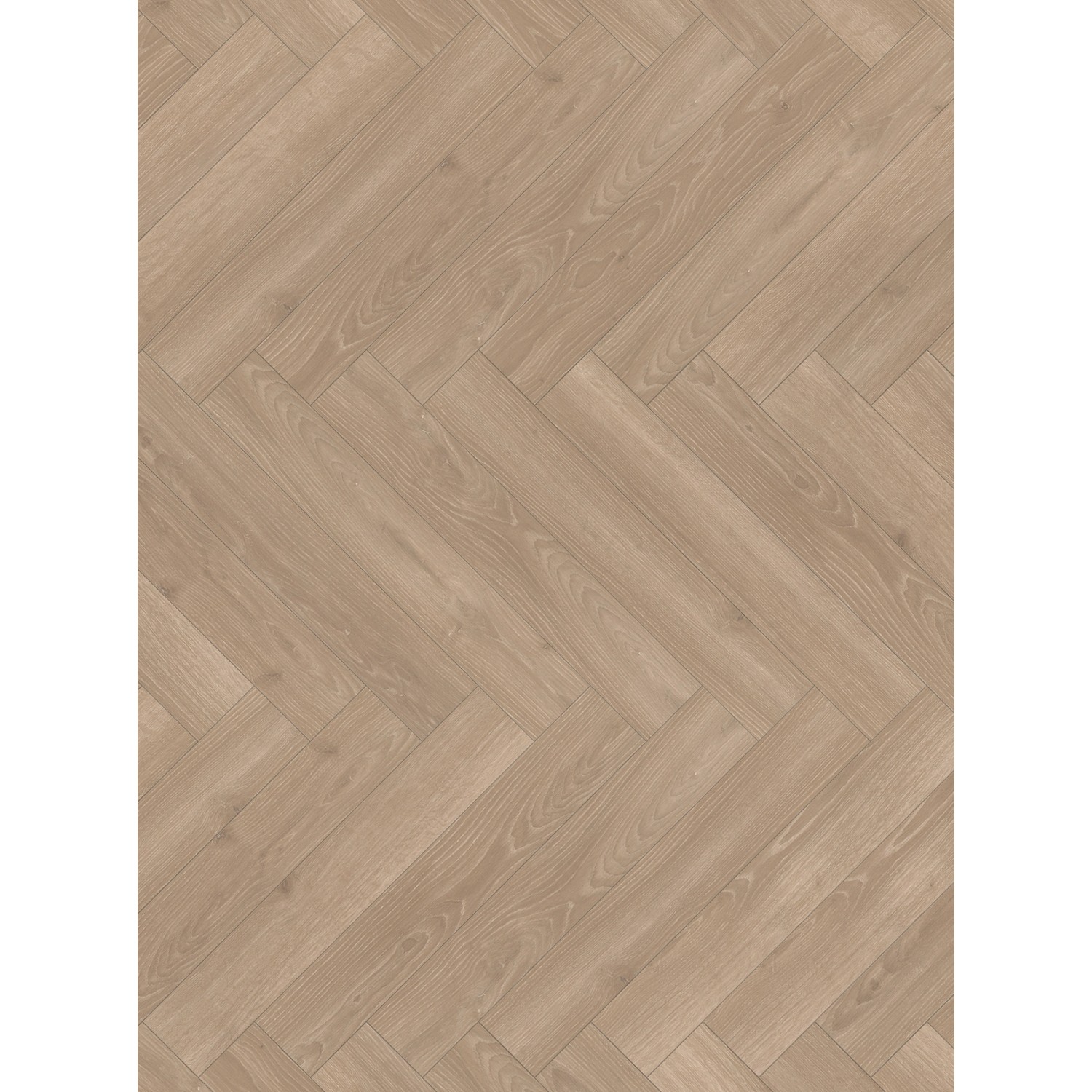 Parador Trendtime 3 Laminat 8 mm Eiche Skyline Fischgrät Grau