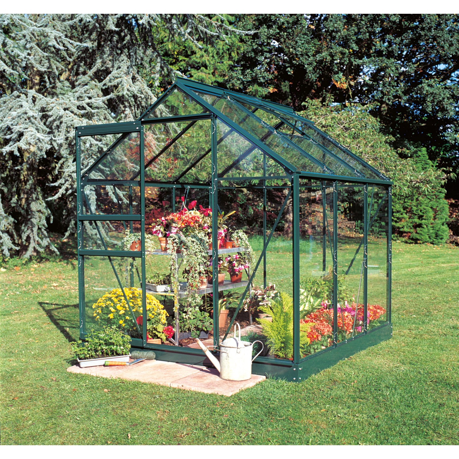 Halls Gewächshaus Popular 66 Grün 3,8 m²