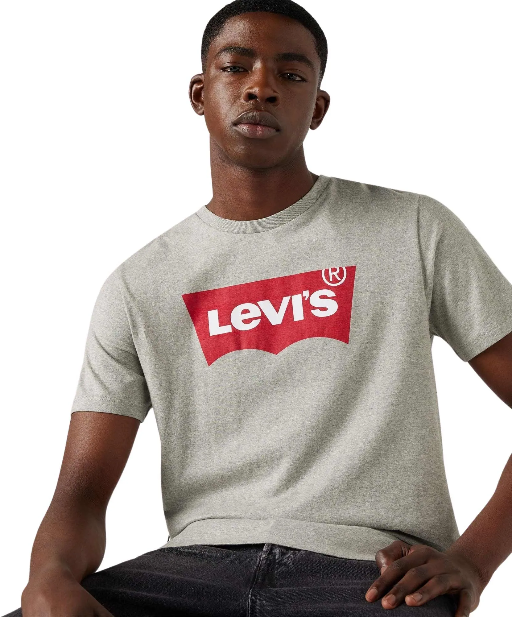 Levis Logoshirt Standard Housemark in Midtone Grey