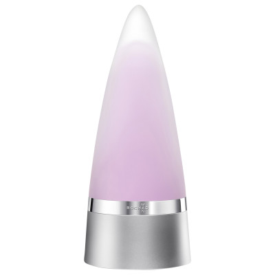 Rochas Man Intense Eau de Parfum 100 ml