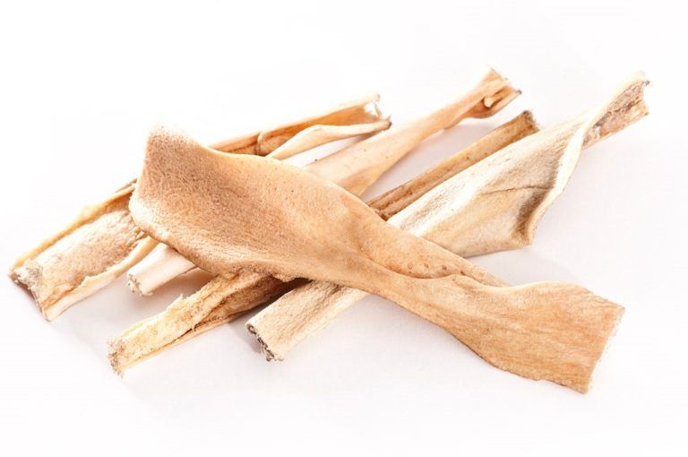 mascota vital - Pferde-Haut