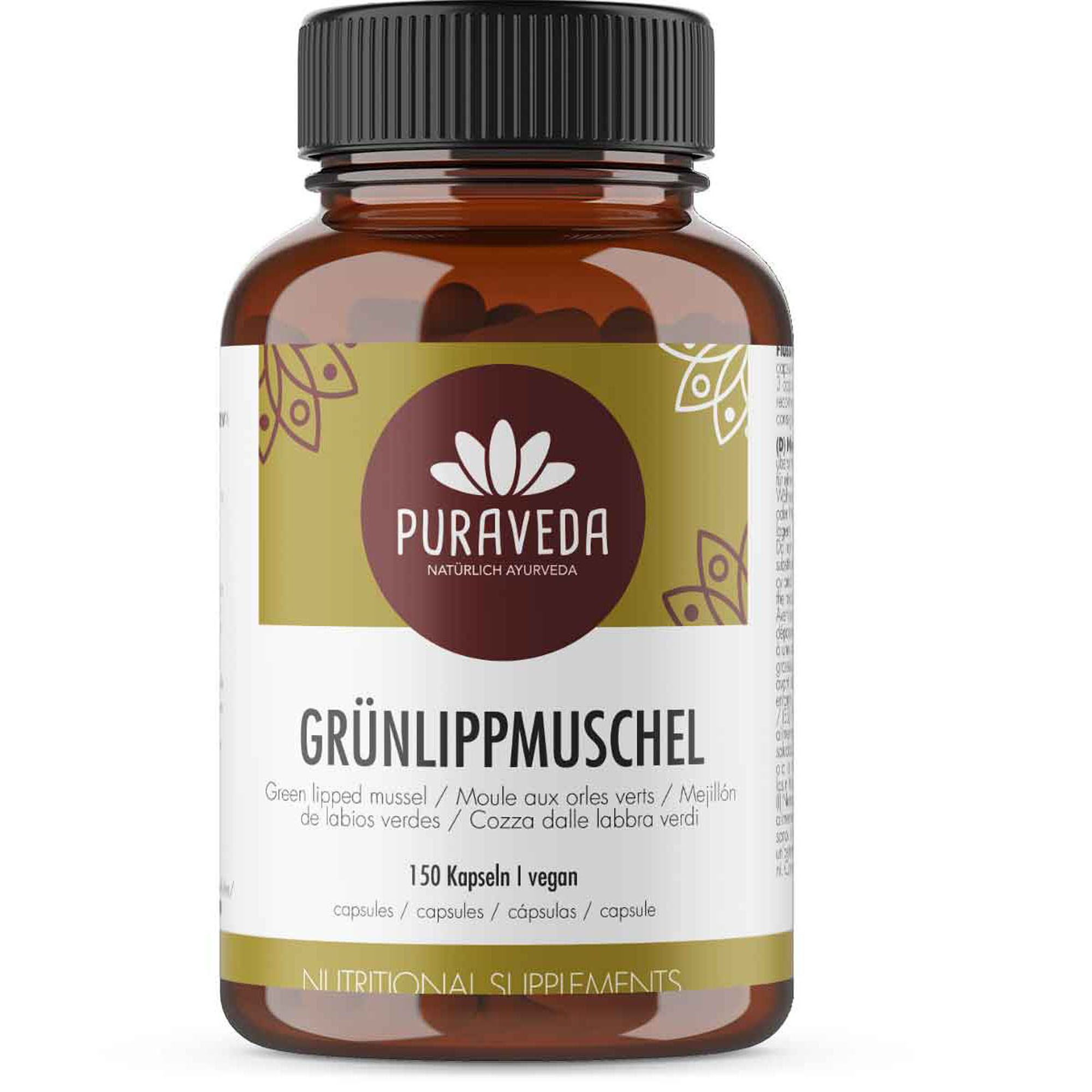 Grünlippmuschel