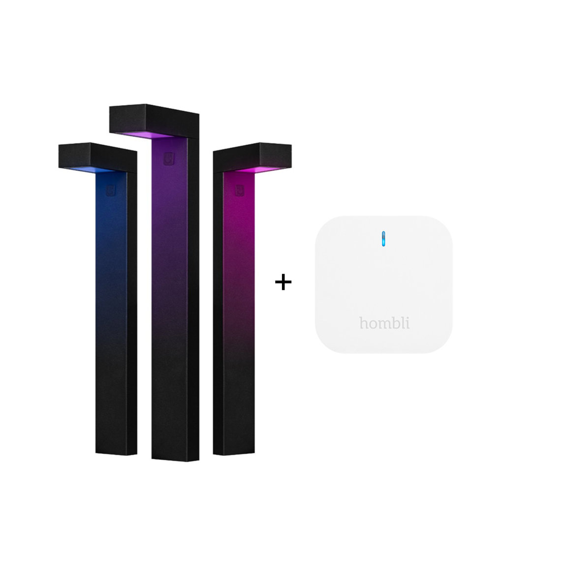 Hombli Smart Pathway Light Starter Kit + Smart Bluetooth Bridge