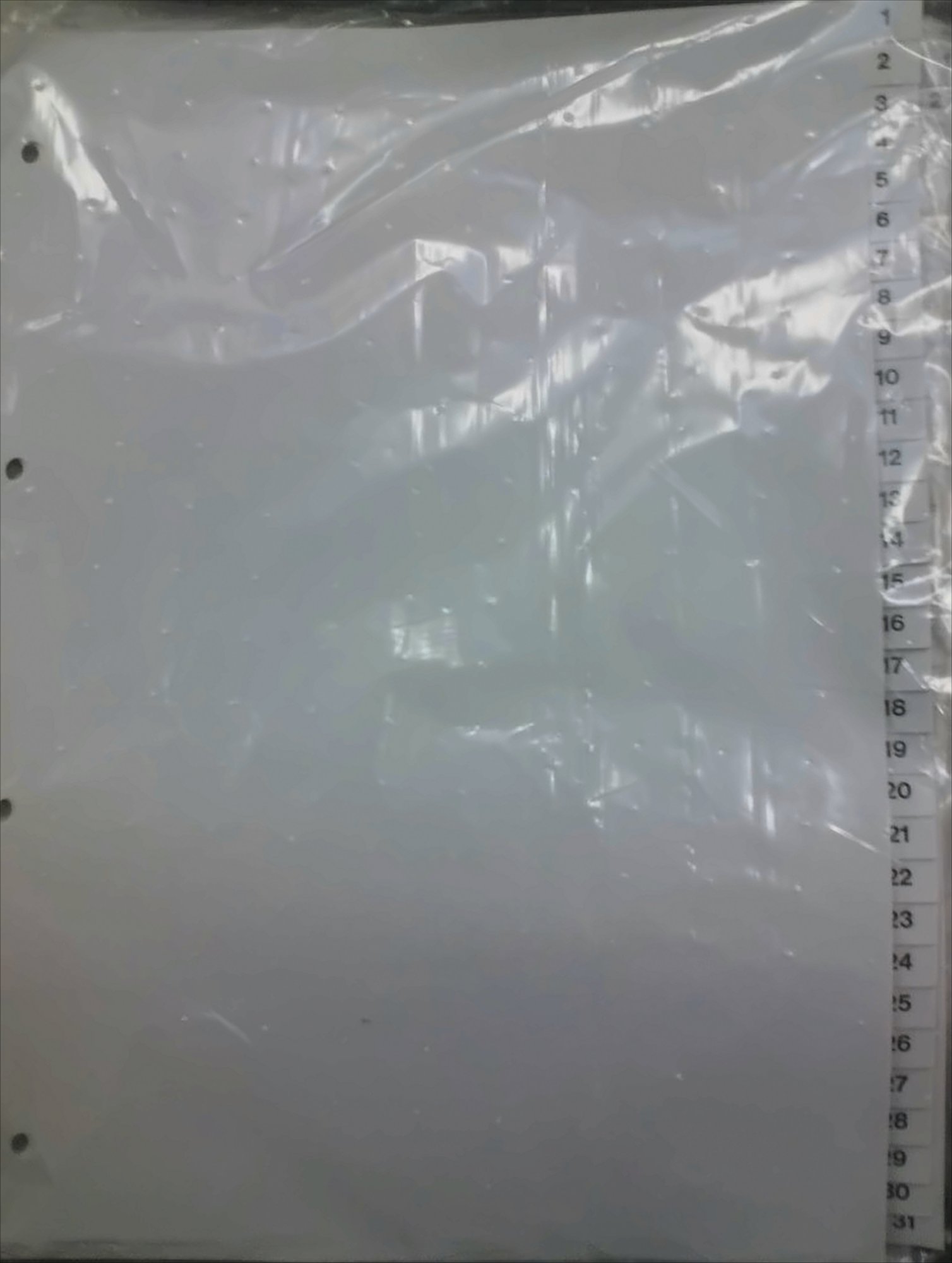 Kunststoffregister A4, 31-teilig Farbe grau