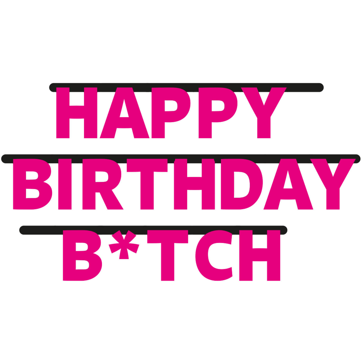 Geburtstag Buchstabengirlande Happy Birthday B*tch