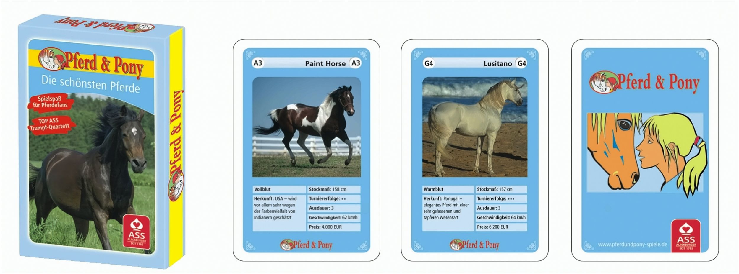 Die schönsten Pferde