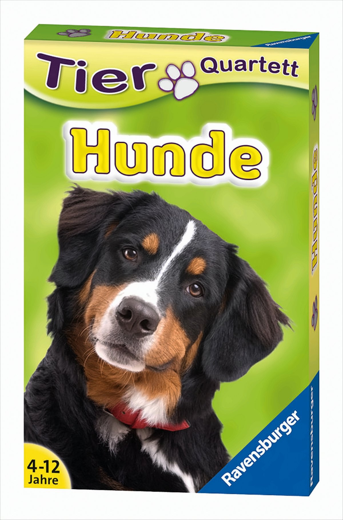 Quartett HUNDE