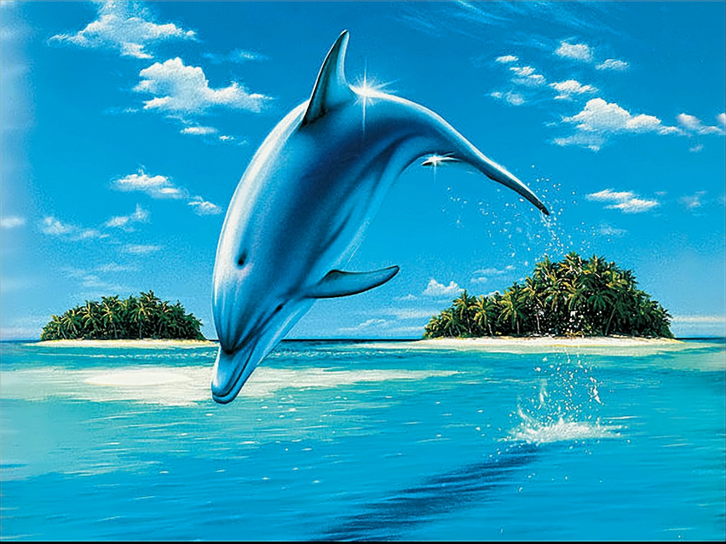 Ravensburger - Fresh Feeling, Delfino 500 Teile