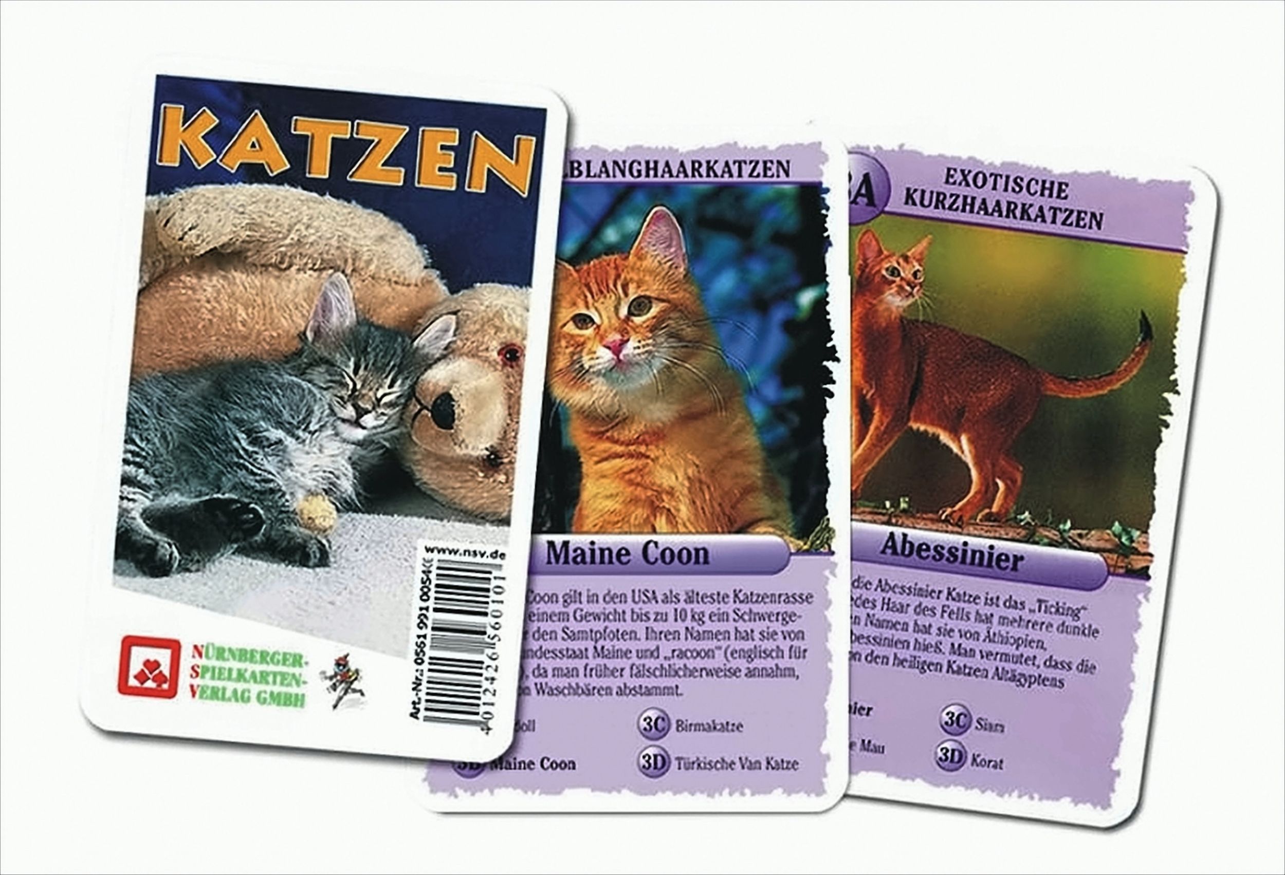 Quartett Katzen