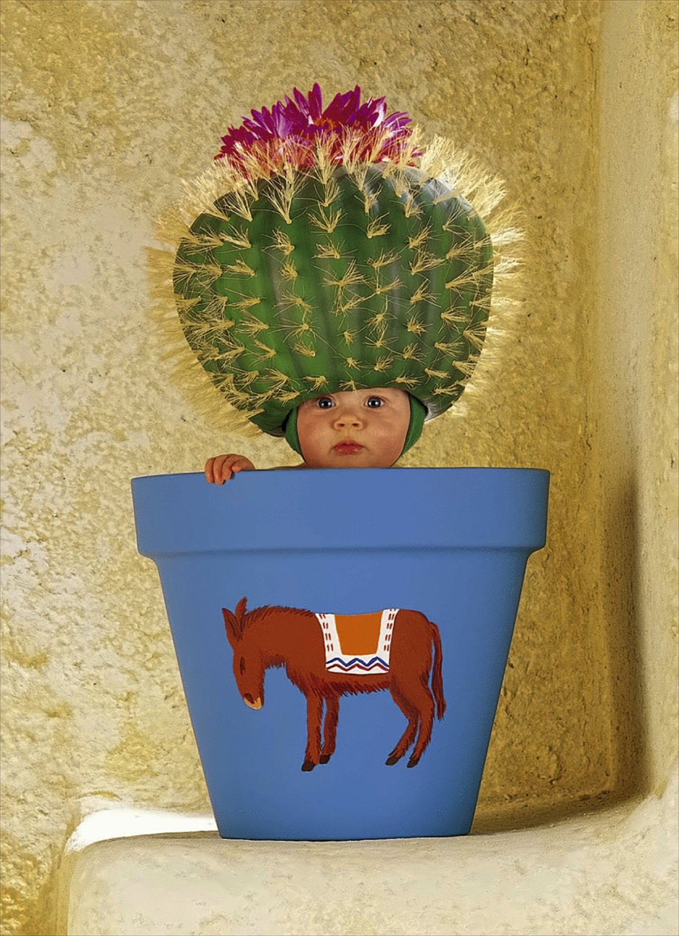 Anne Geddes, Kaktuskind, 1000 Teile Puzzle