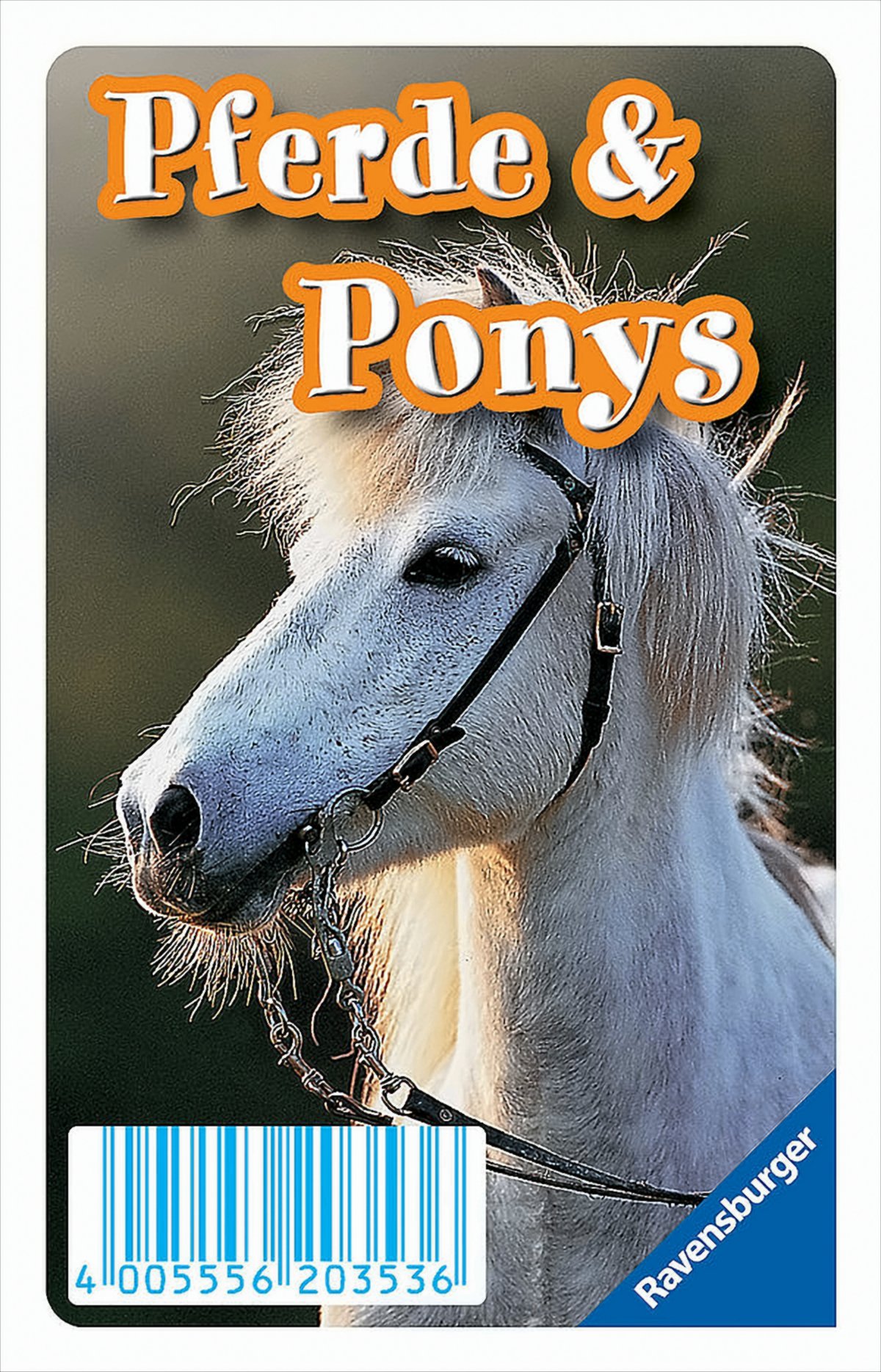 Pferde und Ponys, Tierwelt Quartette