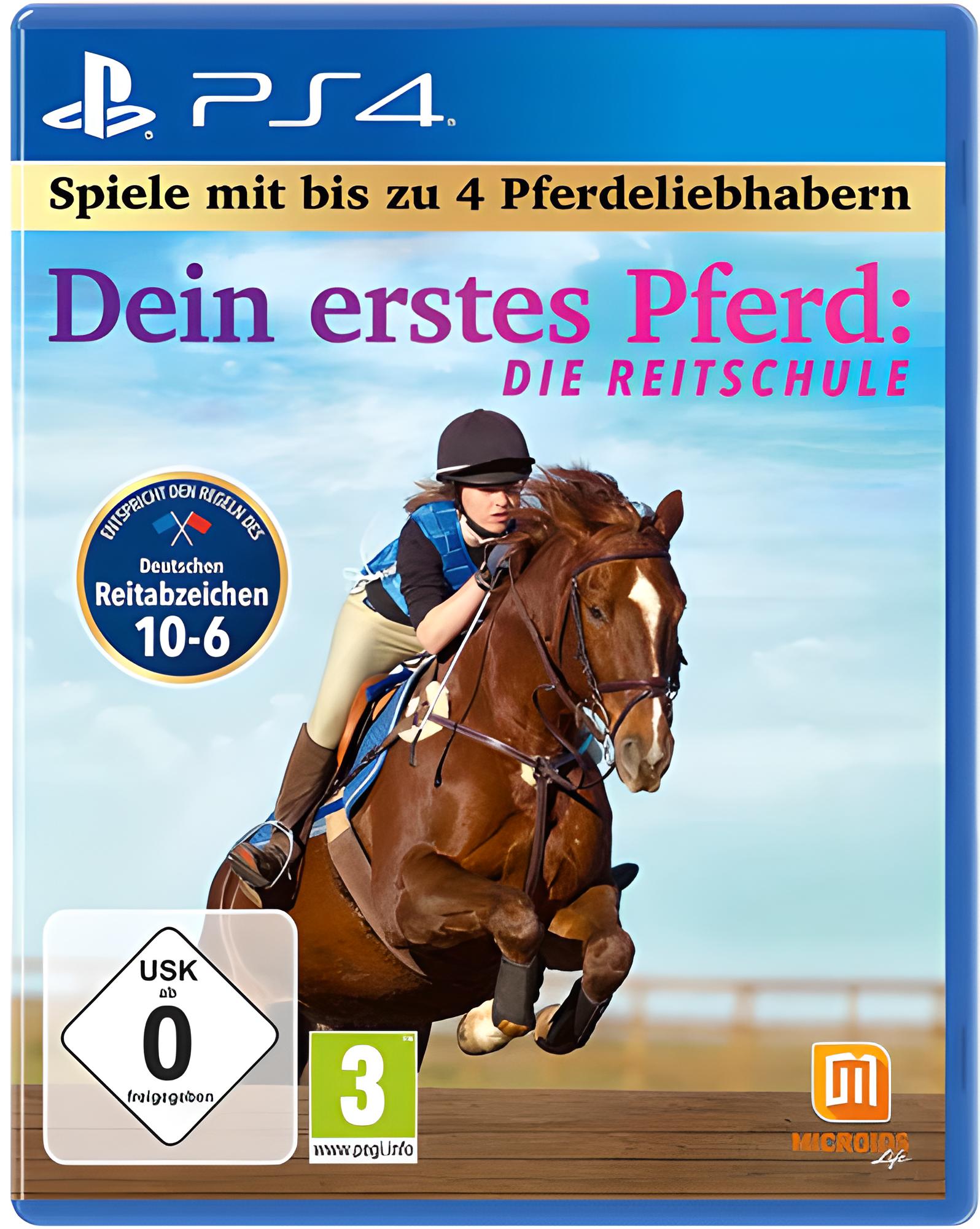 Dein erstes Pferd: Die Reitschule