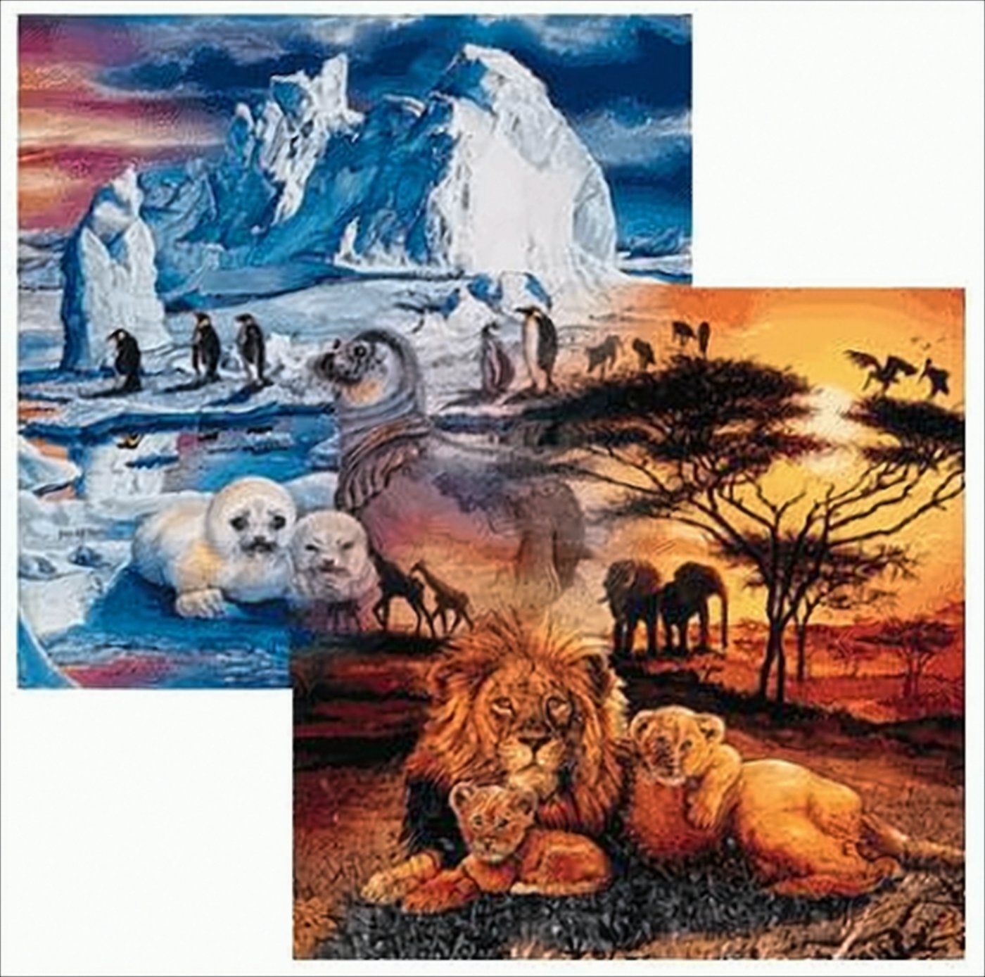 Heiß und EIS, Puzzle