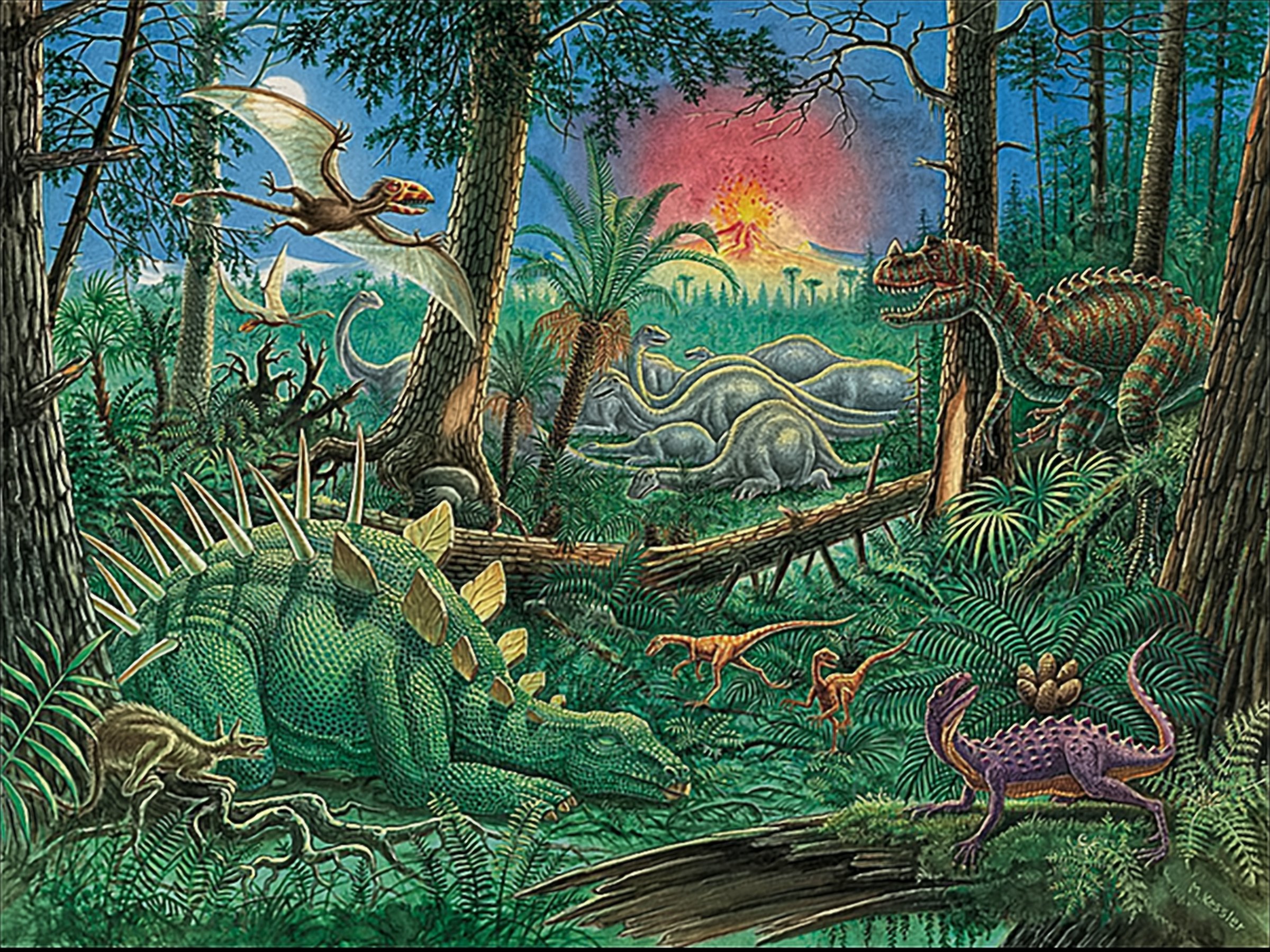 Dinosaurierland puzzle