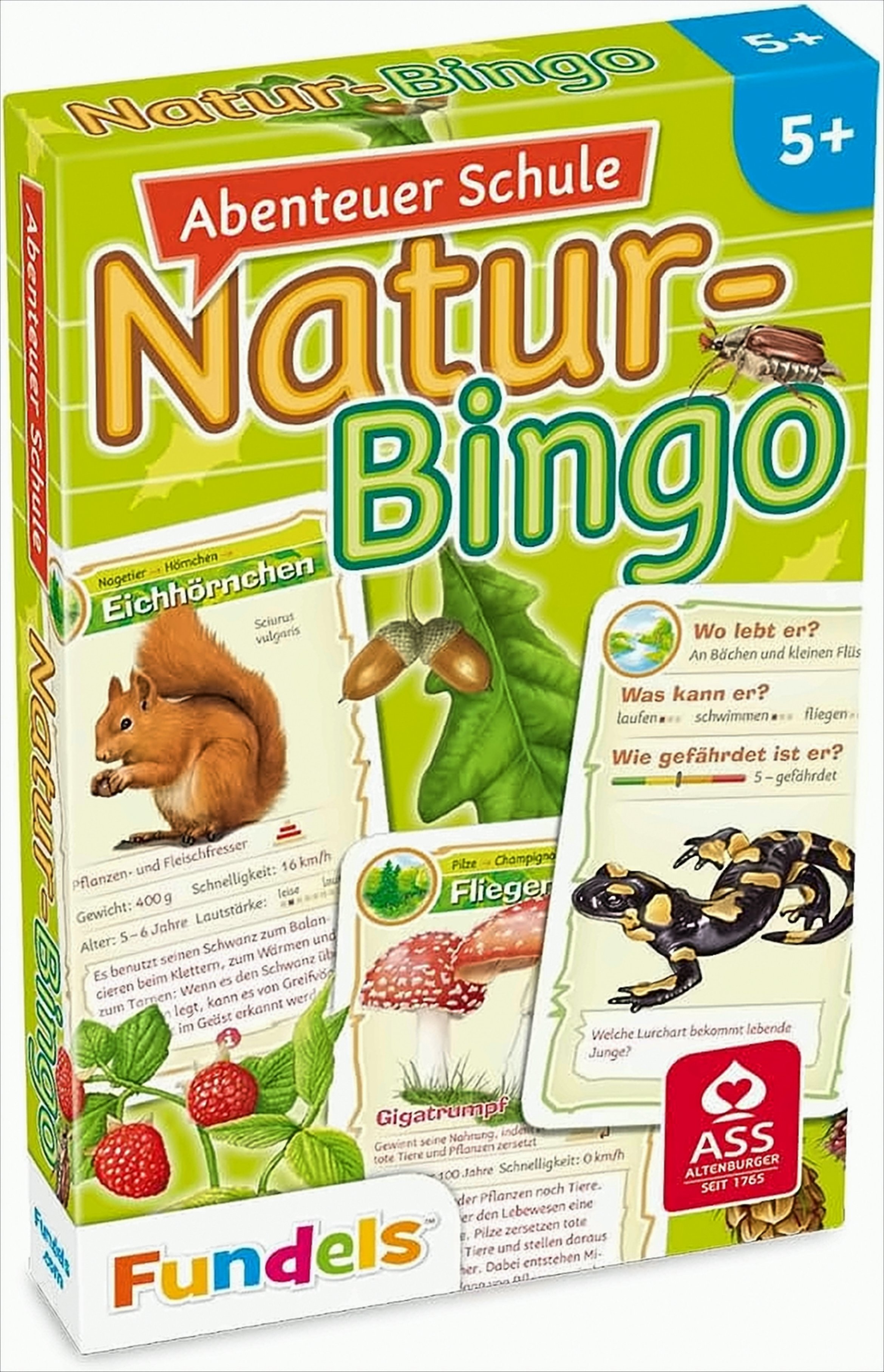 Abenteuer Schule - Natur-Bingo