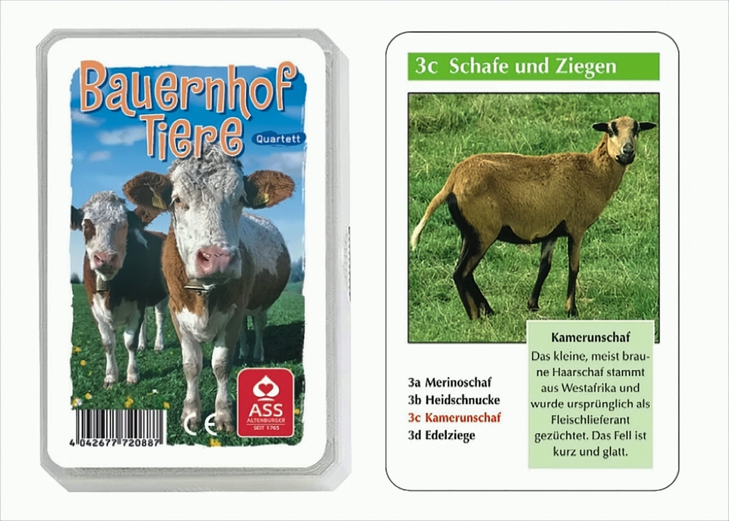Quartett Bauernhof Tiere