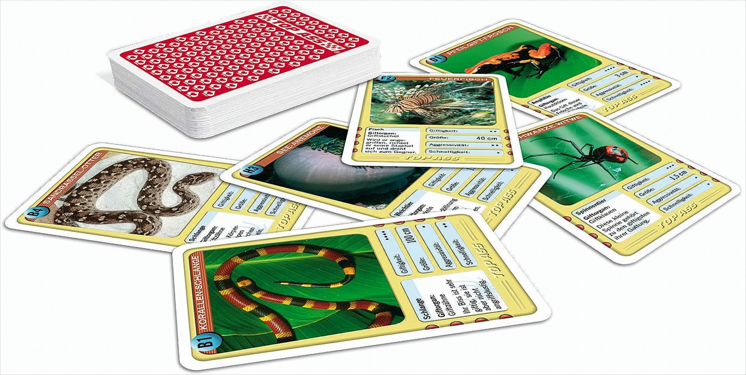 TOP ASS Giftige Tiere