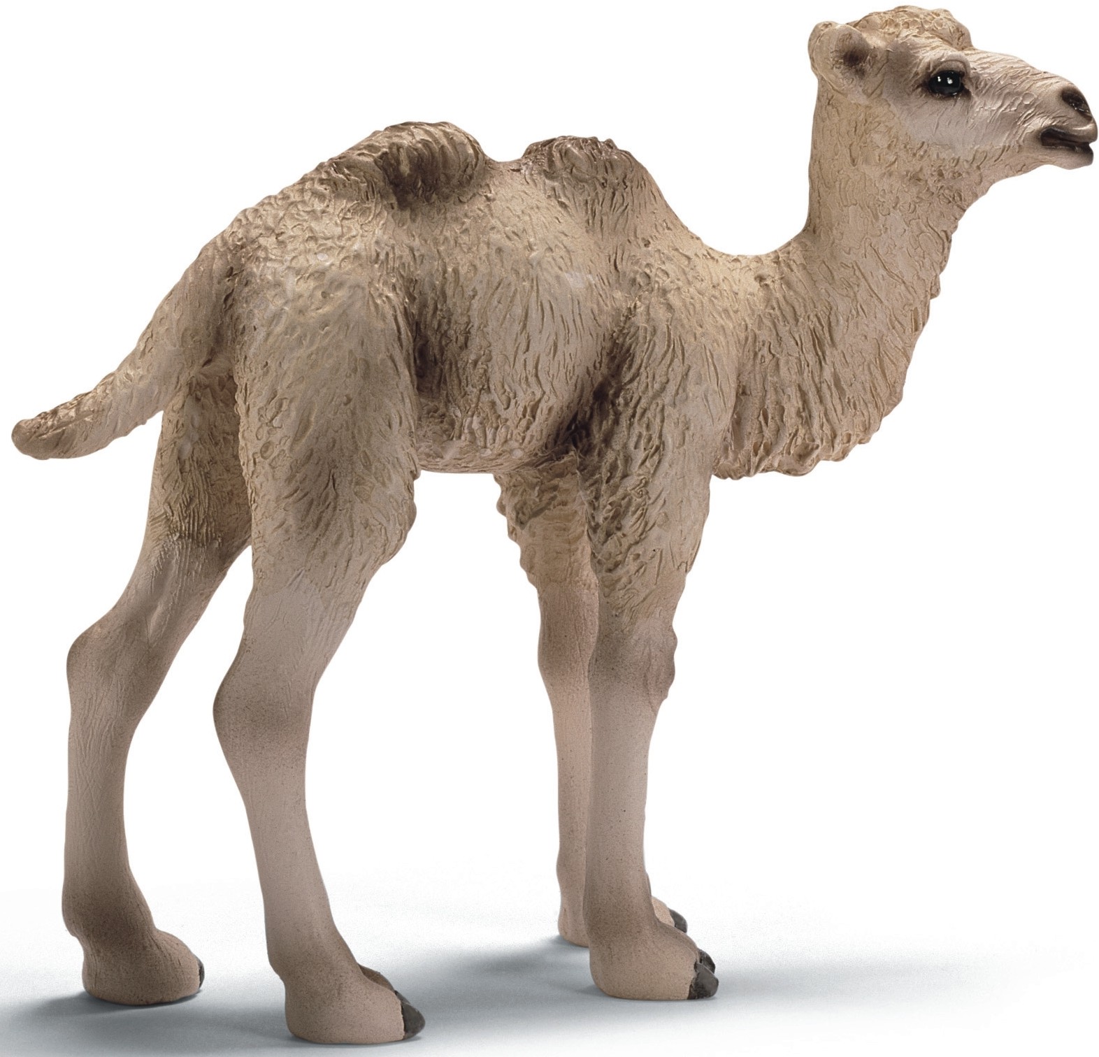 Schleich 14602 Trampeltier Fohlen