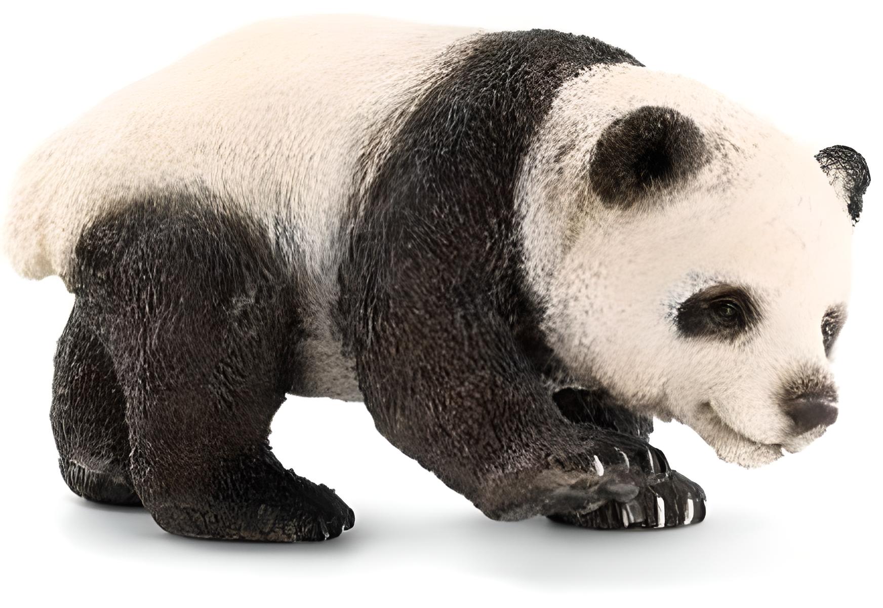 SCHLEICH 14707 Pandabär Junges, groß