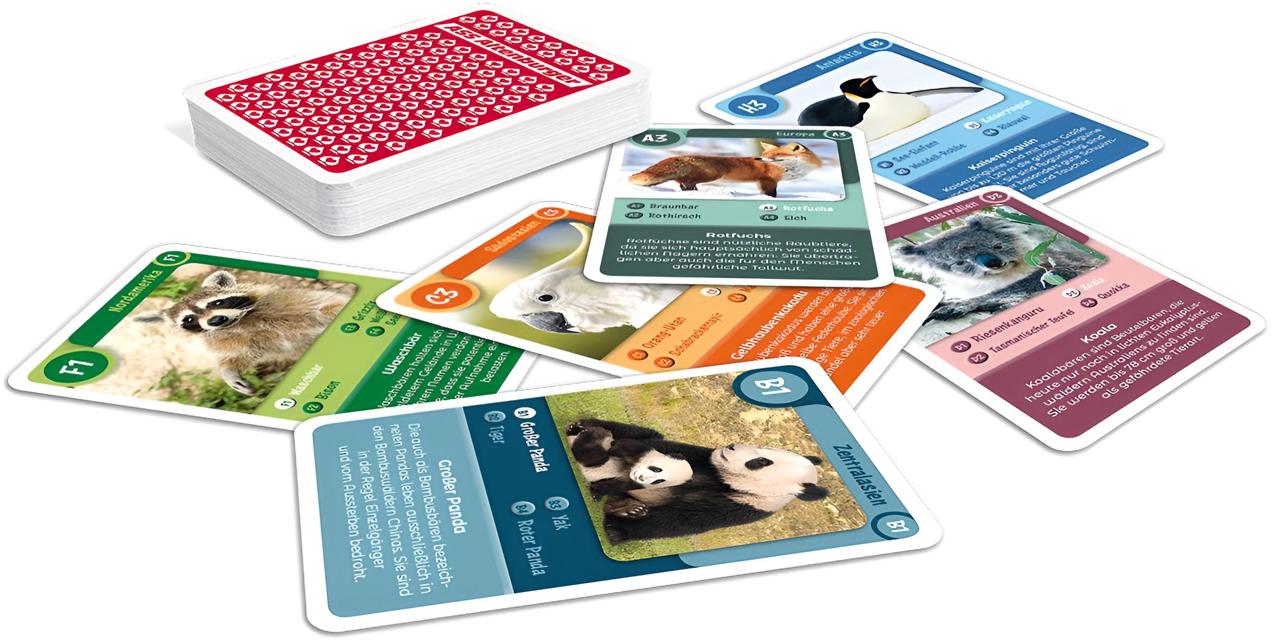 Quartett Wilde Tiere