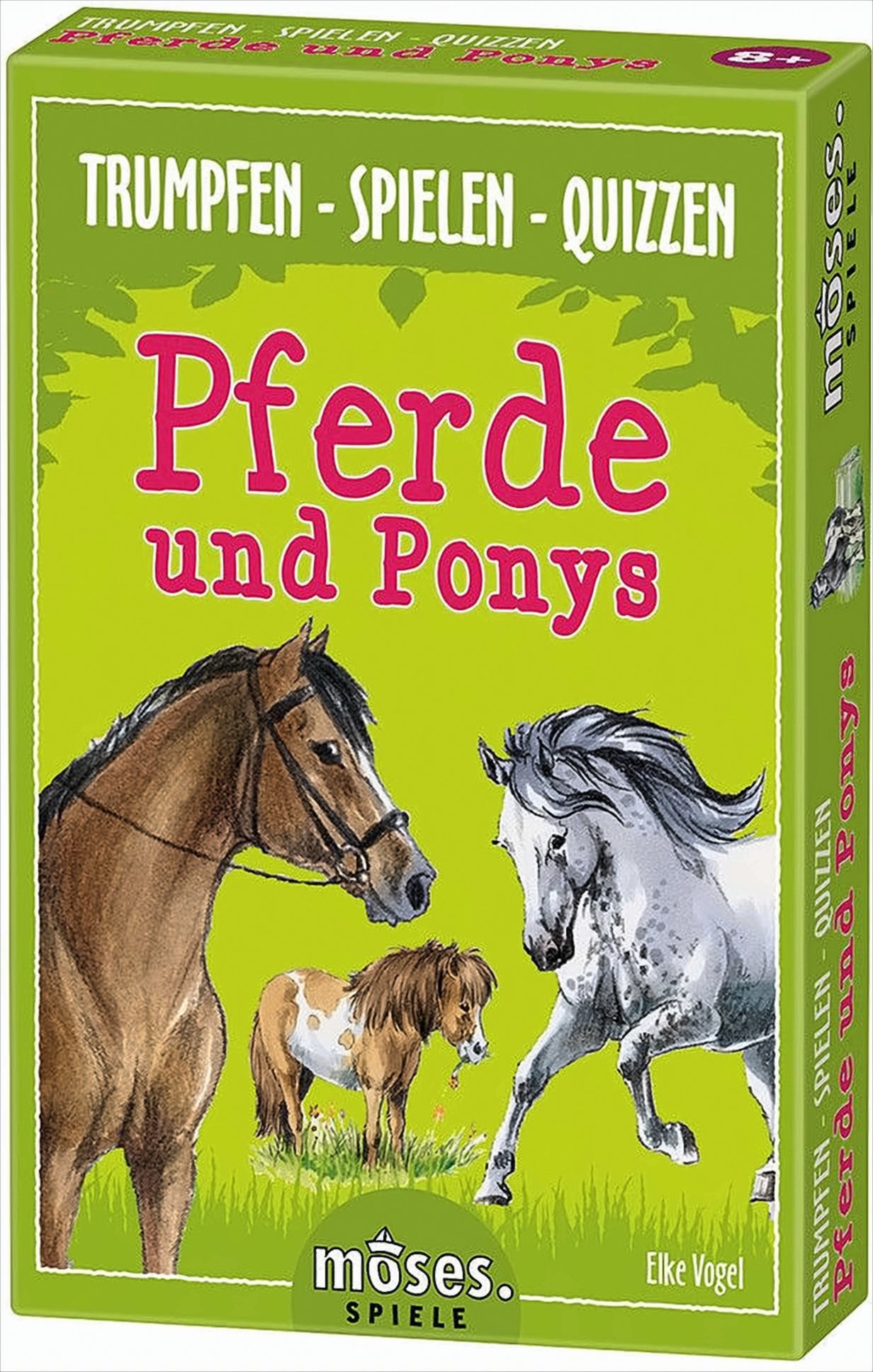 Pferde und Ponys