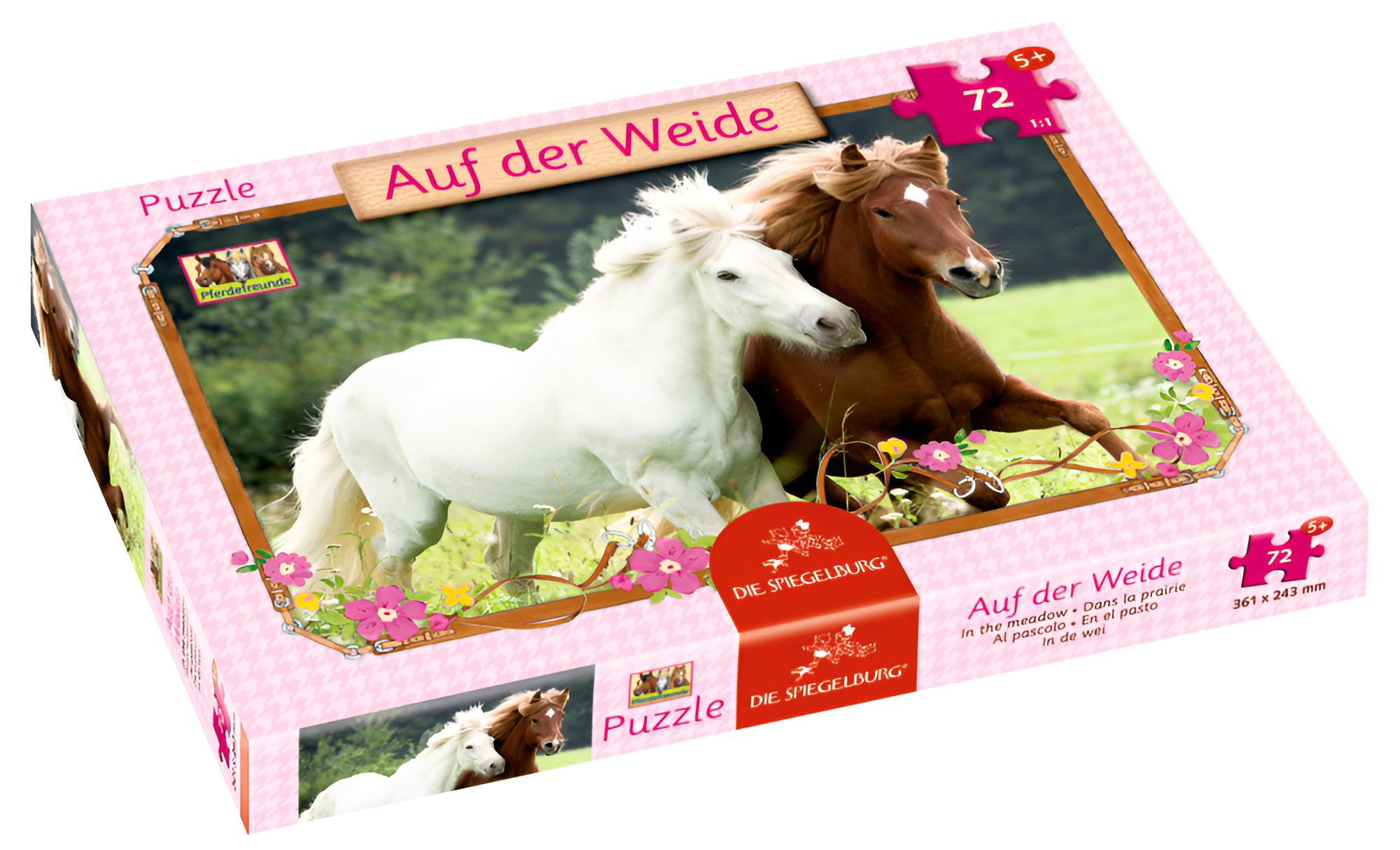 Pferdefreunde - Boxpuzzle Auf der Weide, 72 Teile