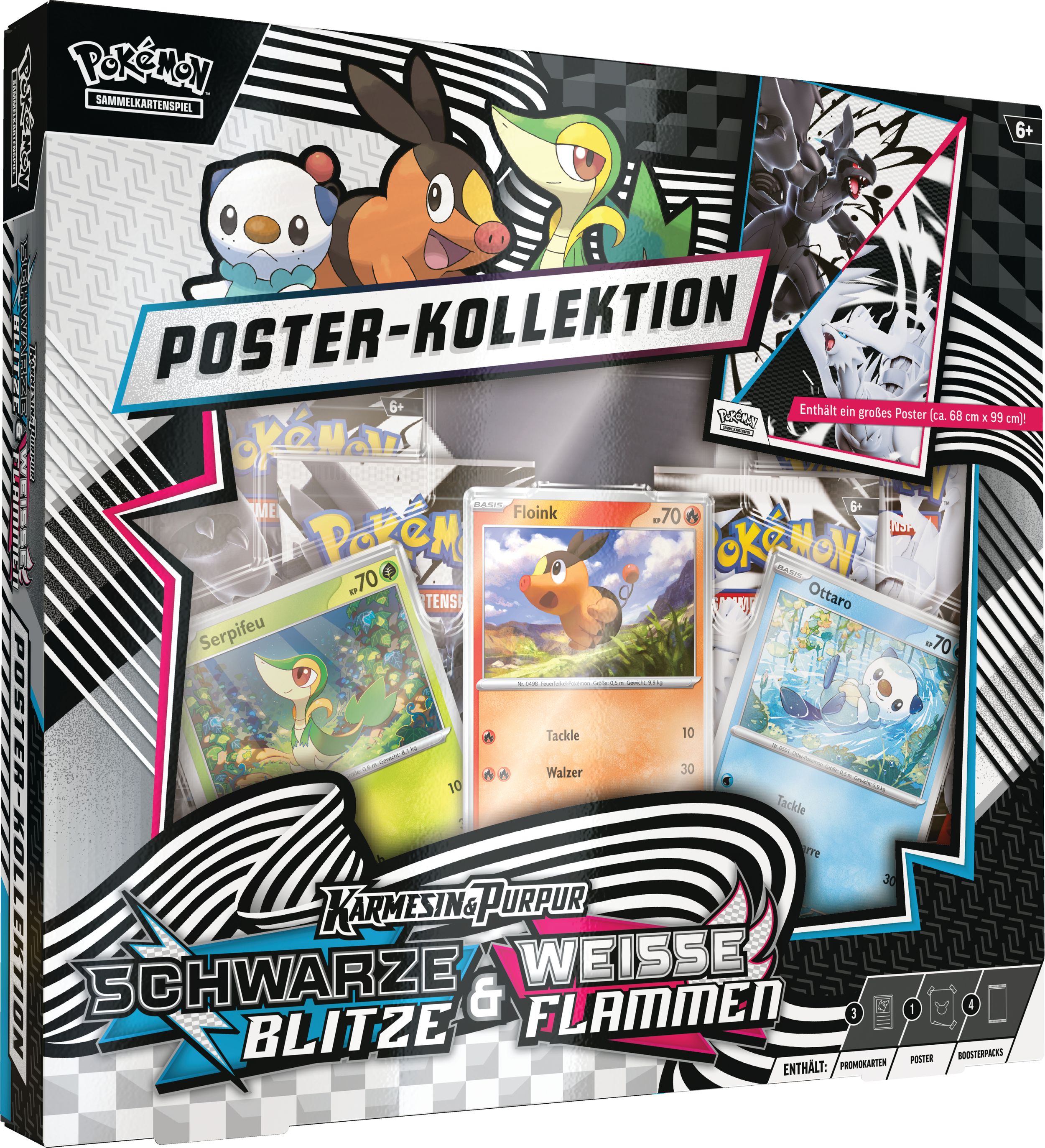 Pokemon Karmesin & Purpur – Weiße Flammen und Schwarze Blitze Poster Kollektion DE