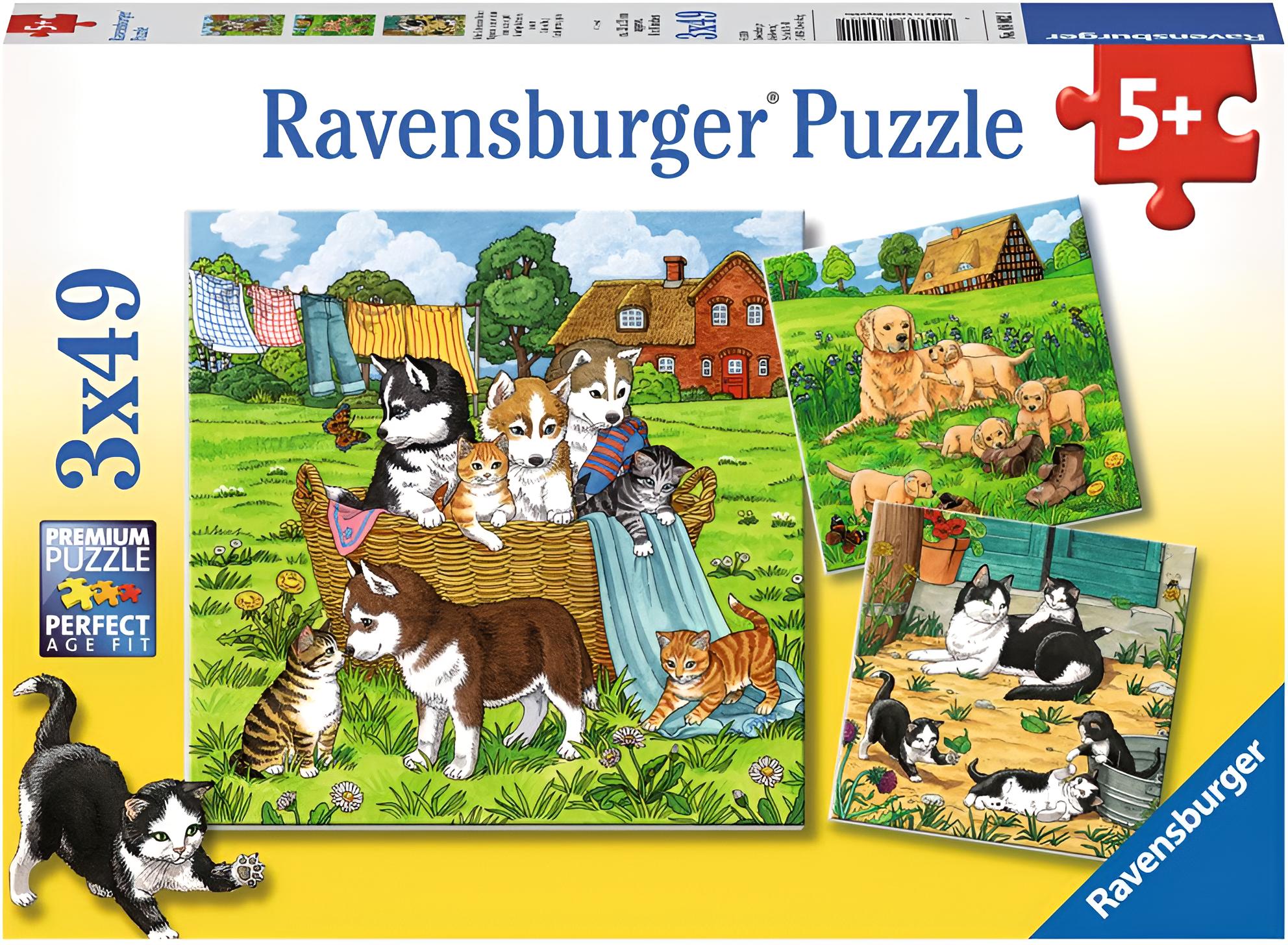 Süße Katzen und Hunde, 3 x 49 Teile