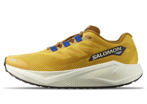 Salomon Aero Blaze 3 Gravel | Laufschuhe für Herren | Spicy Mustard / Vanilla Ice /