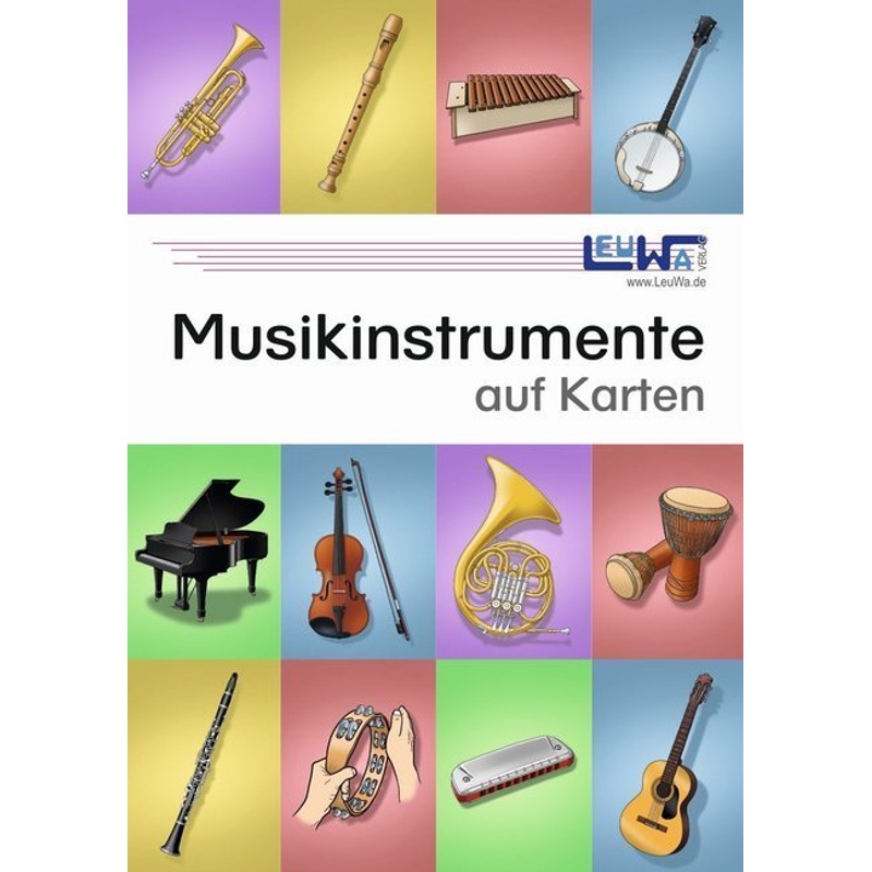 Musikinstrumente Auf Karten - Martin Leuchtner, Bruno Waizmann, Loseblatt